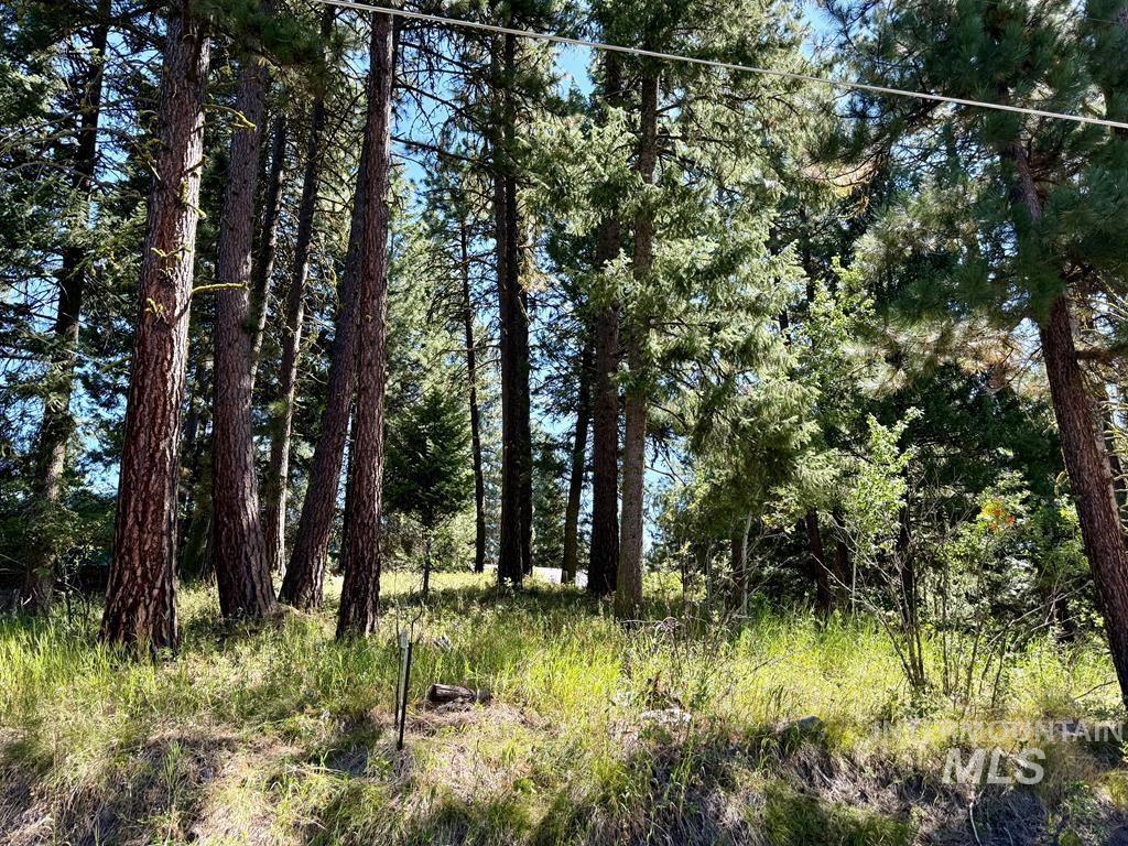 697 N Samson Trail, McCall, Idaho 83638, Land For Sale, Price $207,000, 98978296