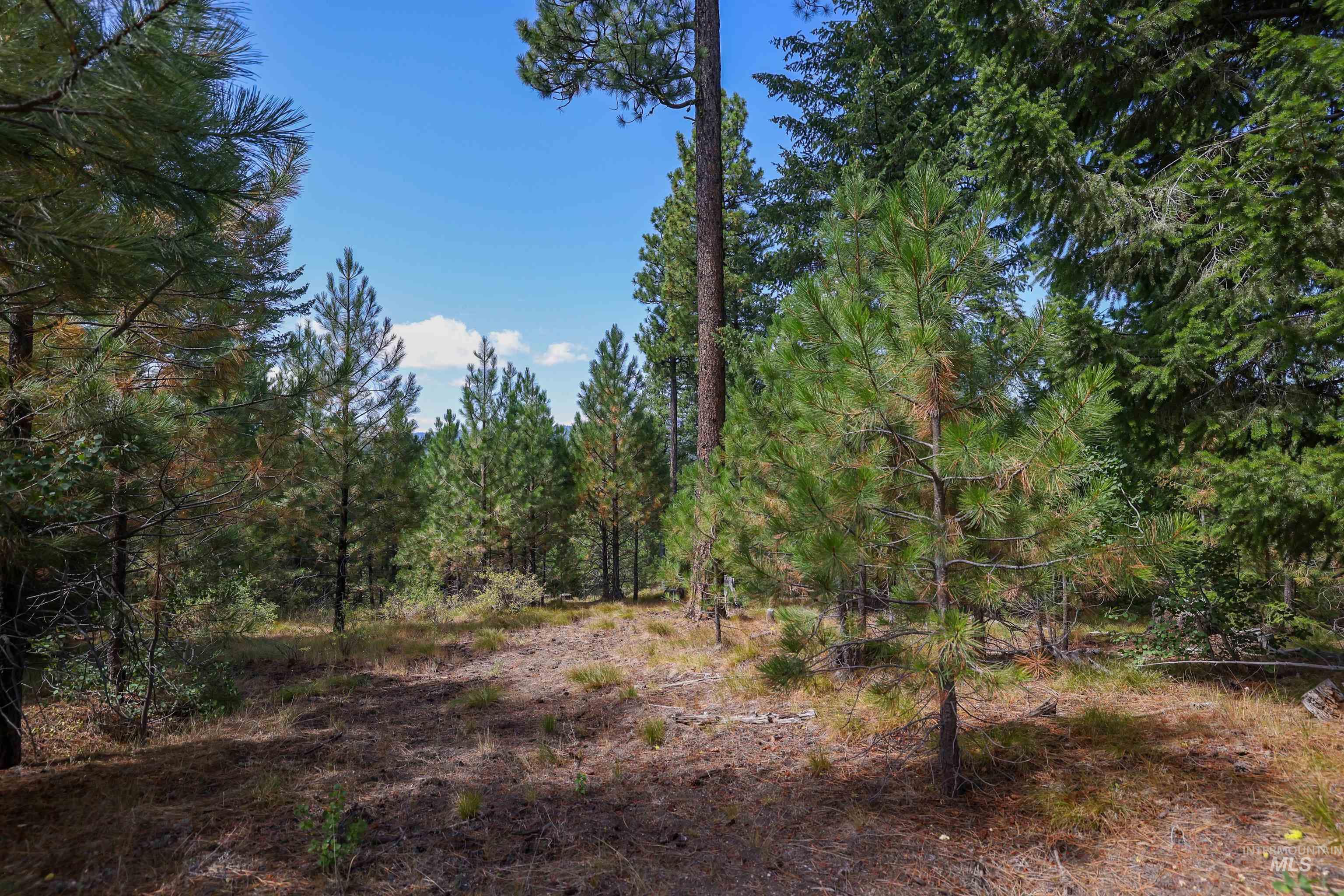 47 Coit Dr, Cascade, Idaho 83611, Land For Sale, Price $234,900, 98978337