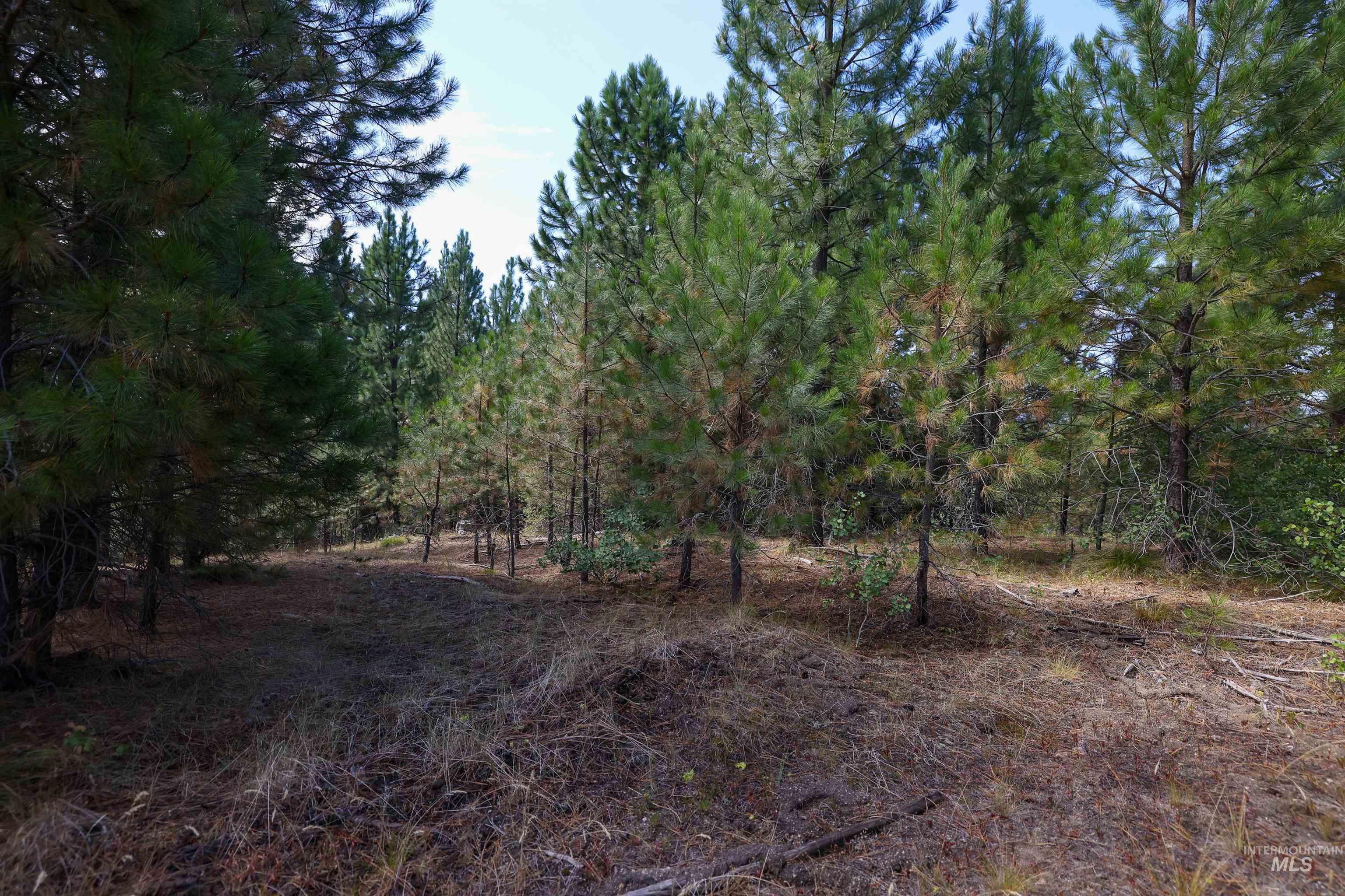47 Coit Dr, Cascade, Idaho 83611, Land For Sale, Price $234,900, 98978337