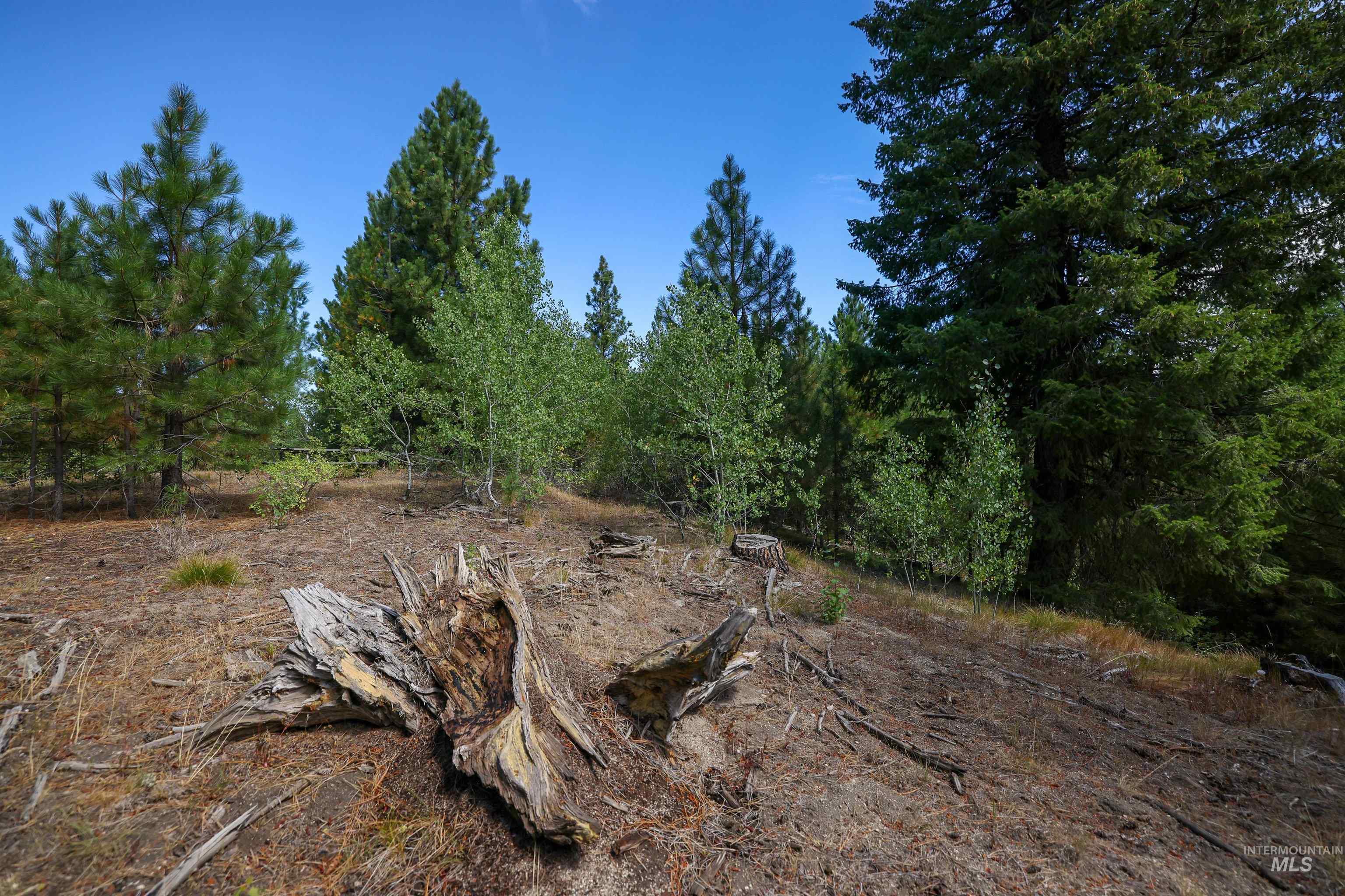 47 Coit Dr, Cascade, Idaho 83611, Land For Sale, Price $234,900, 98978337