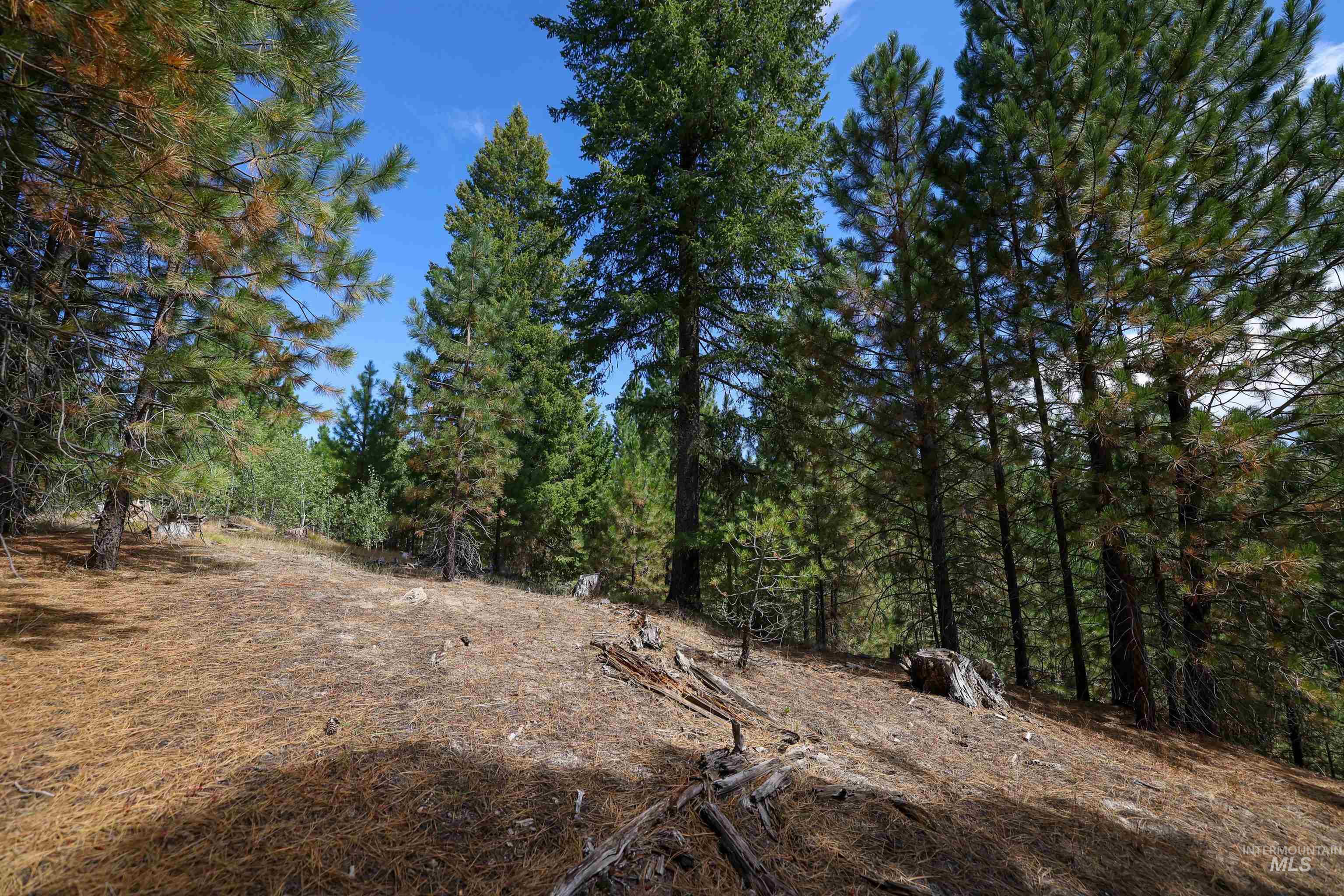 47 Coit Dr, Cascade, Idaho 83611, Land For Sale, Price $234,900, 98978337