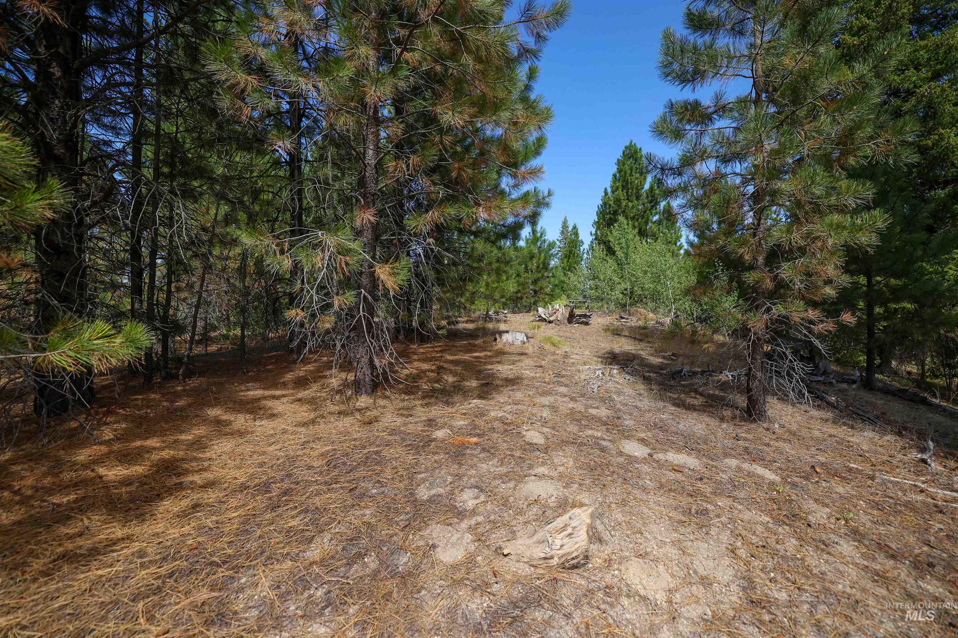47 Coit Dr, Cascade, Idaho 83611, Land For Sale, Price $234,900, 98978337