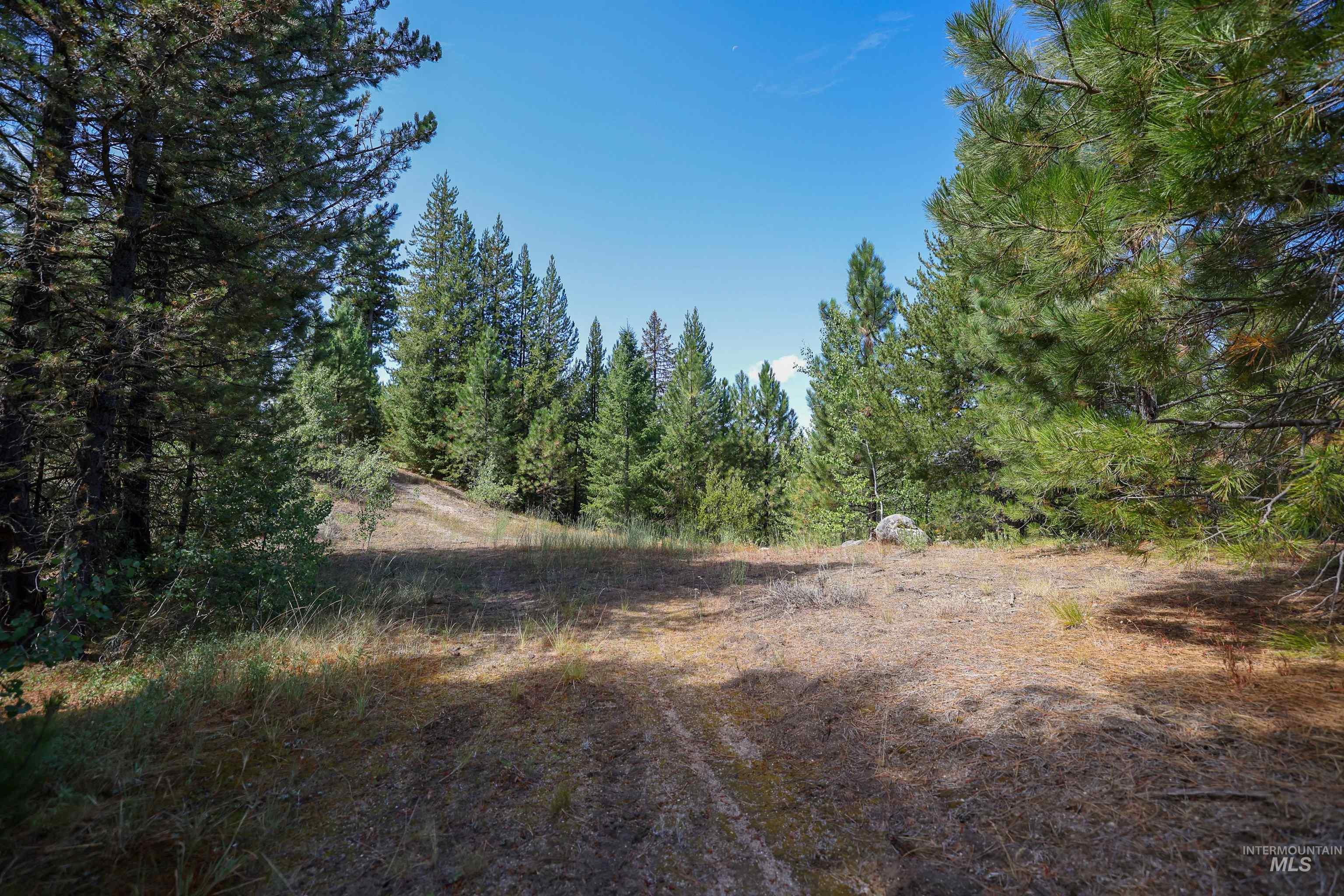 47 Coit Dr, Cascade, Idaho 83611, Land For Sale, Price $234,900, 98978337