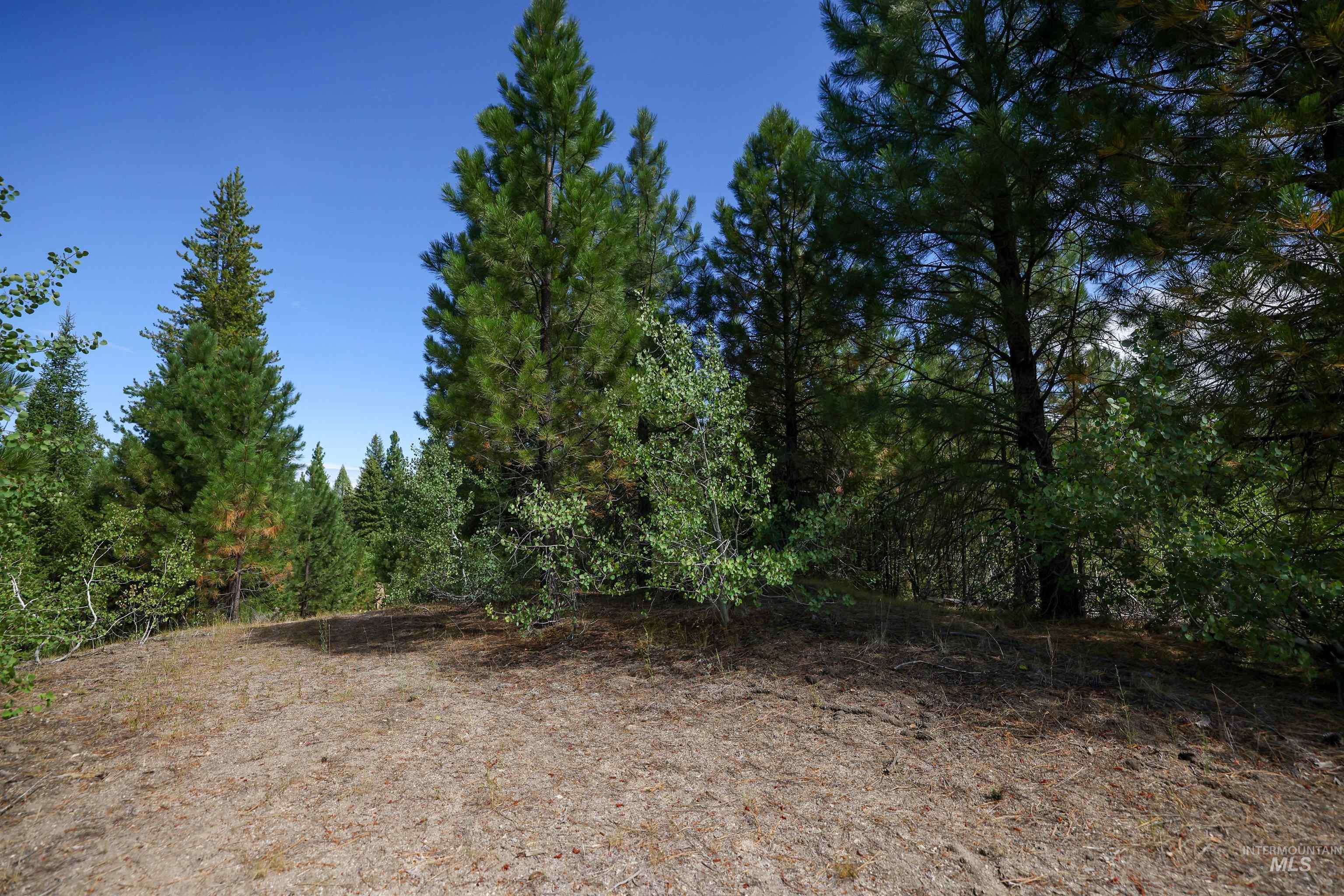 47 Coit Dr, Cascade, Idaho 83611, Land For Sale, Price $234,900, 98978337