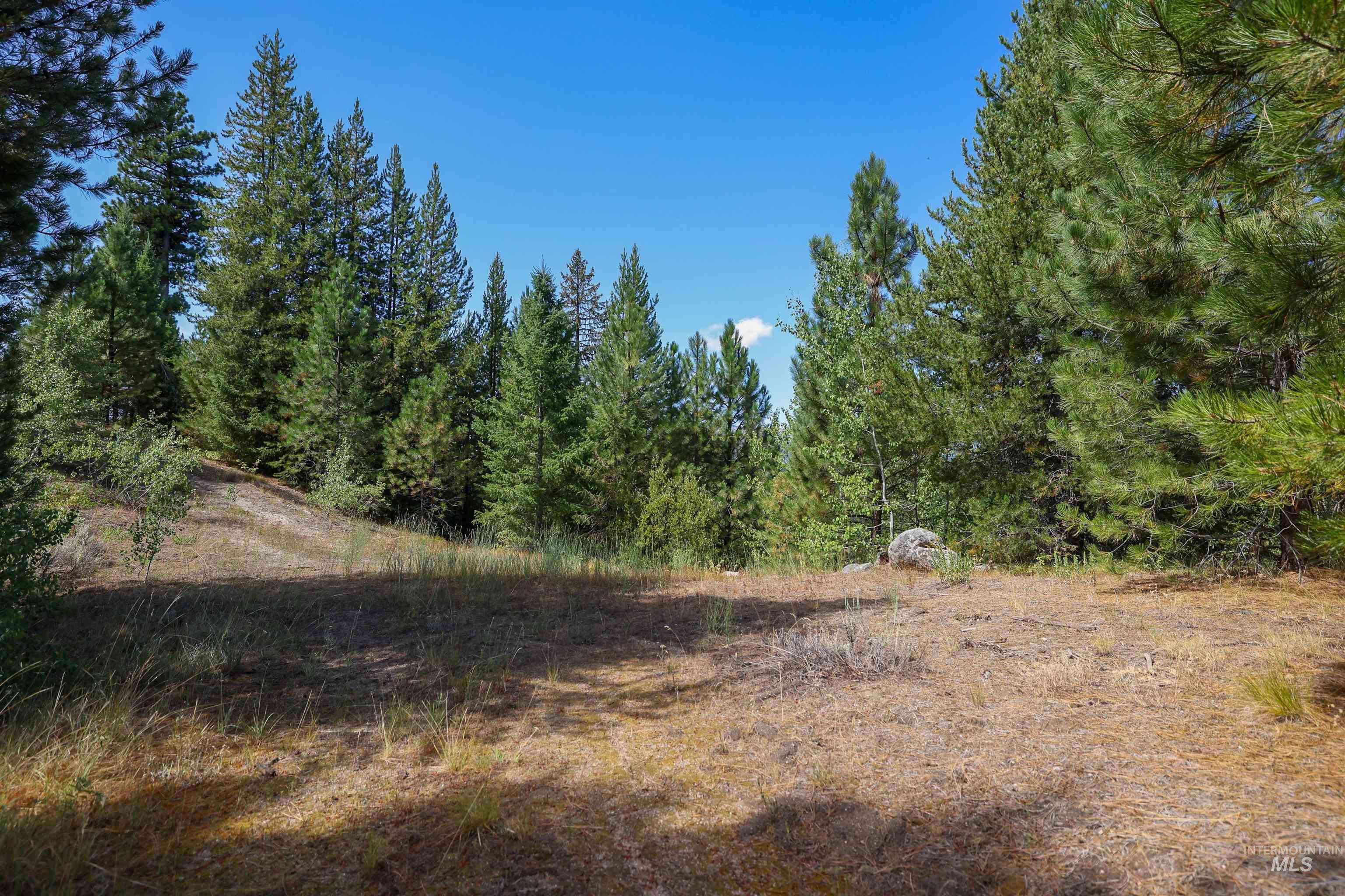 47 Coit Dr, Cascade, Idaho 83611, Land For Sale, Price $234,900, 98978337