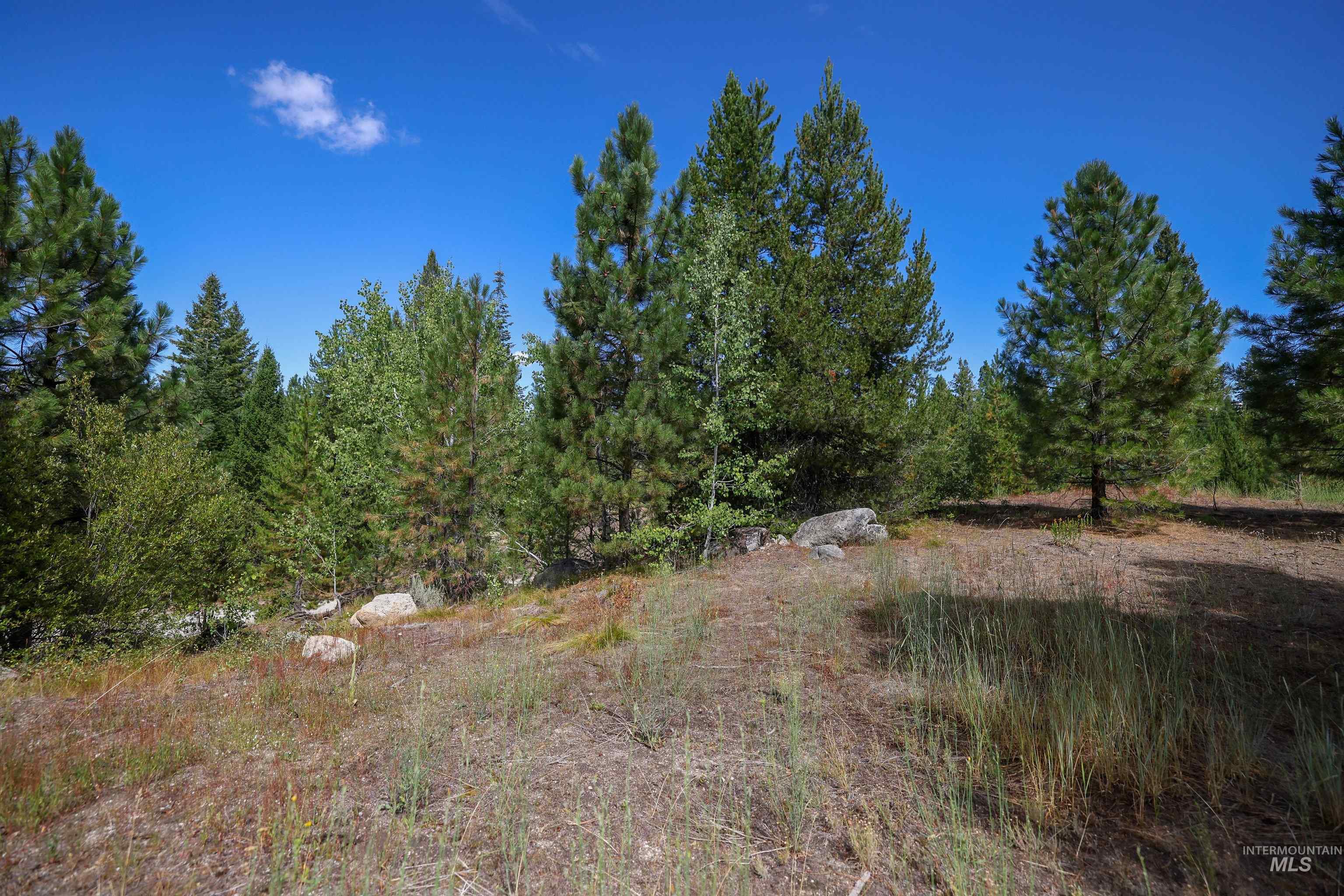 47 Coit Dr, Cascade, Idaho 83611, Land For Sale, Price $234,900, 98978337