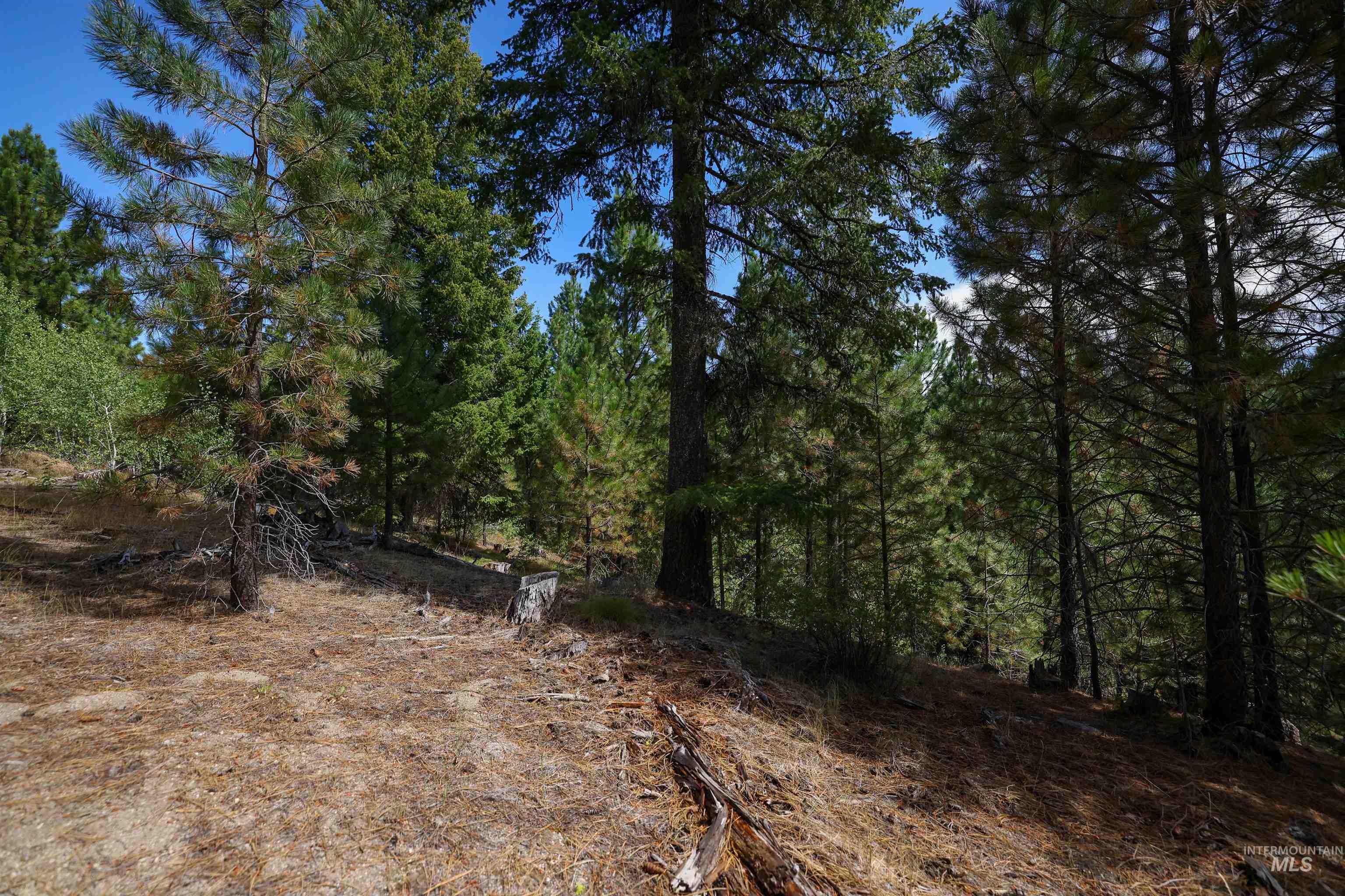 47 Coit Dr, Cascade, Idaho 83611, Land For Sale, Price $234,900, 98978337