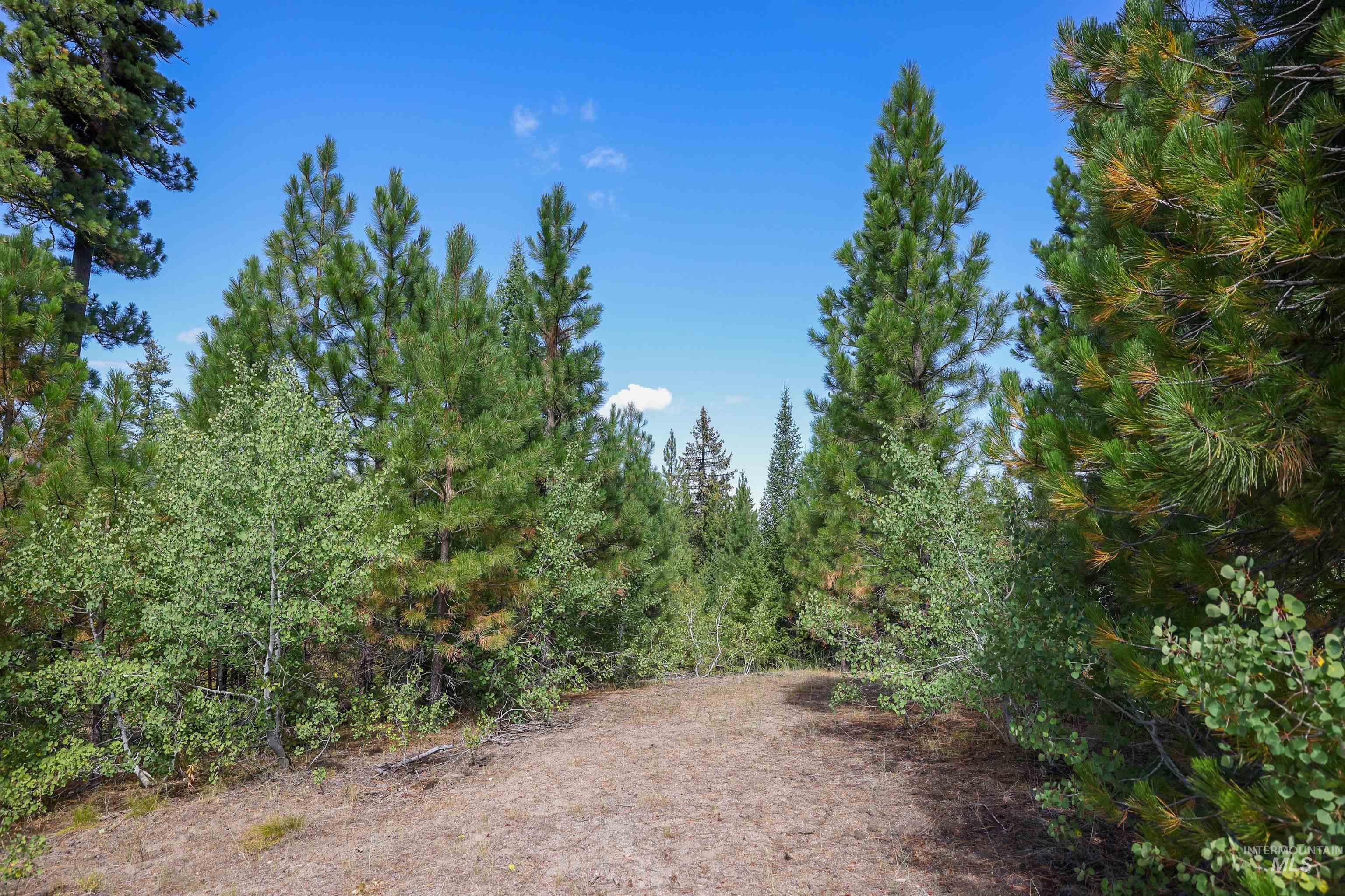 47 Coit Dr, Cascade, Idaho 83611, Land For Sale, Price $234,900, 98978337