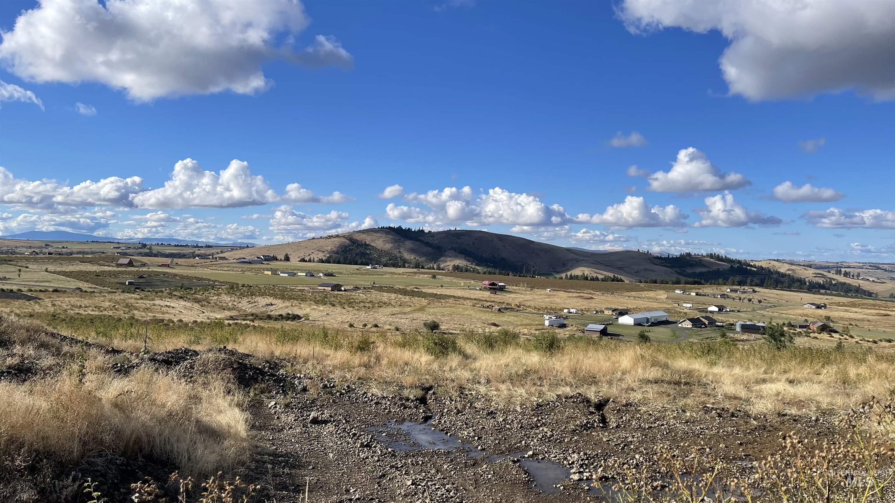 TBD Golden Hills Dr, Grangeville, Idaho 83530, Land For Sale, Price $129,000,MLS 98978340
