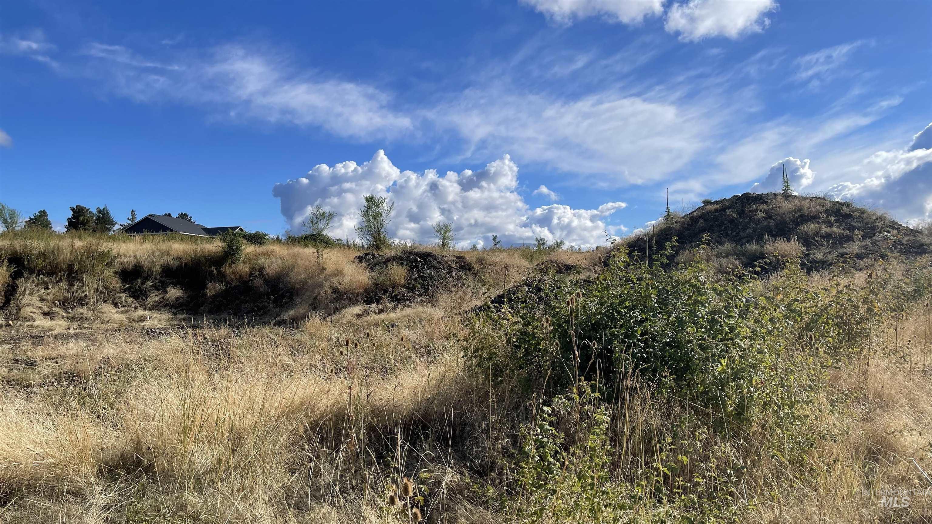 TBD Golden Hills Dr, Grangeville, Idaho 83530, Land For Sale, Price $129,000,MLS 98978340