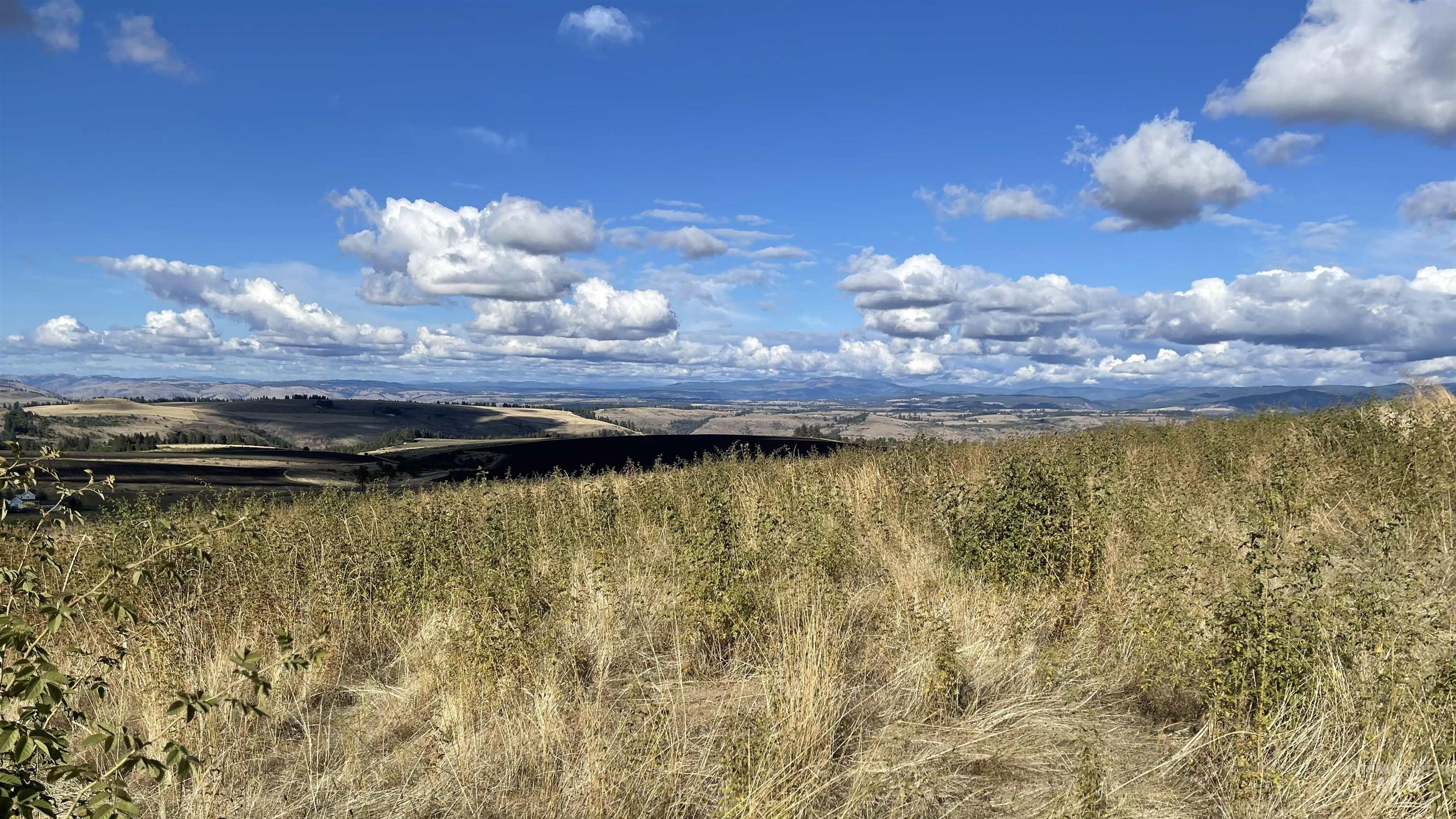 TBD Golden Hills Dr, Grangeville, Idaho 83530, Land For Sale, Price $129,000,MLS 98978340