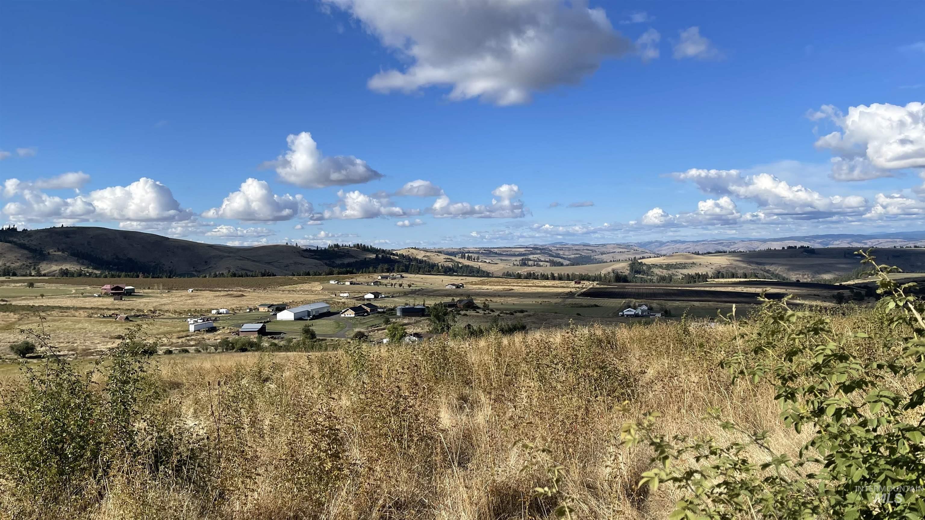 TBD Golden Hills Dr, Grangeville, Idaho 83530, Land For Sale, Price $129,000,MLS 98978340