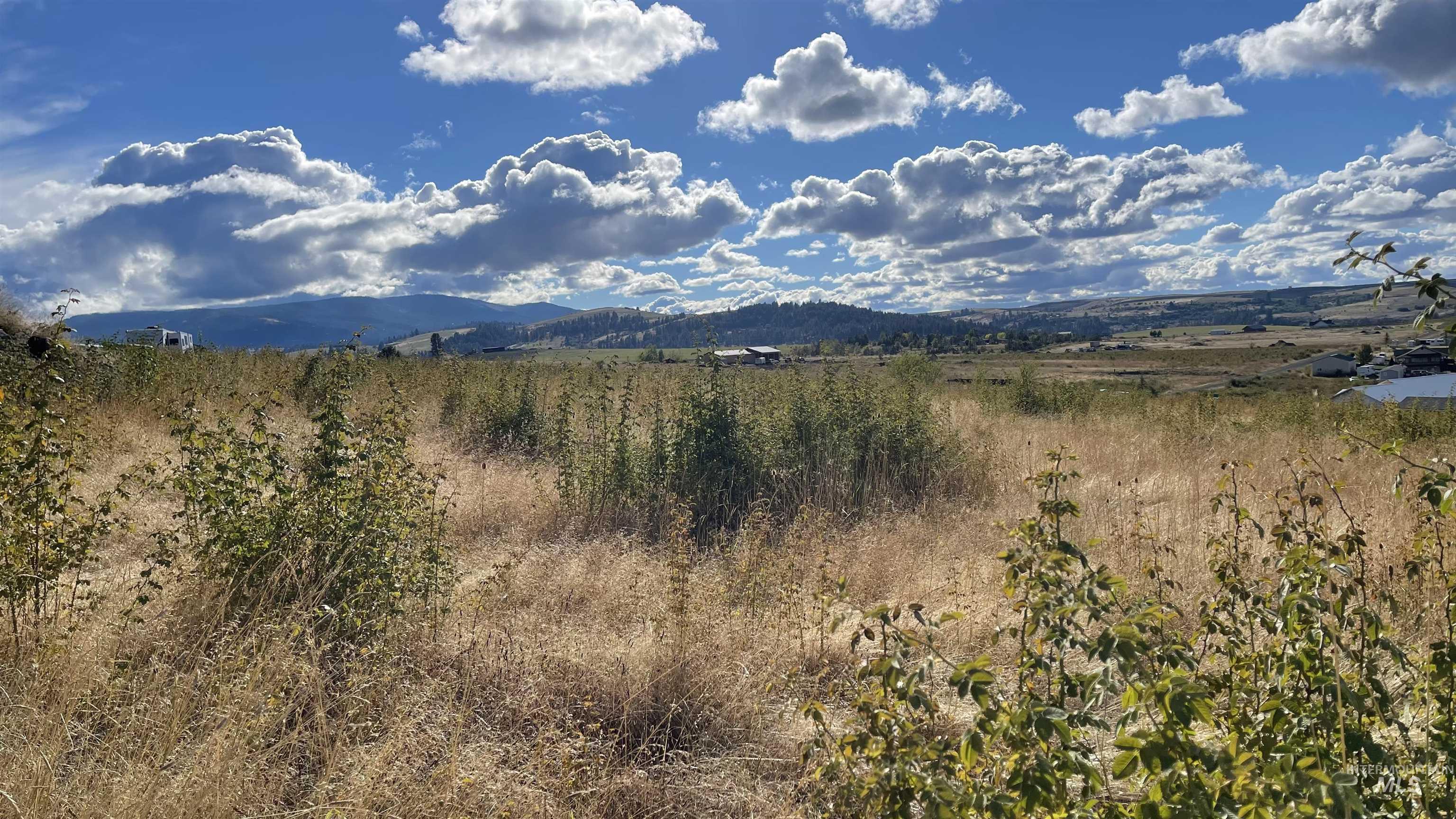 TBD Golden Hills Dr, Grangeville, Idaho 83530, Land For Sale, Price $129,000,MLS 98978340