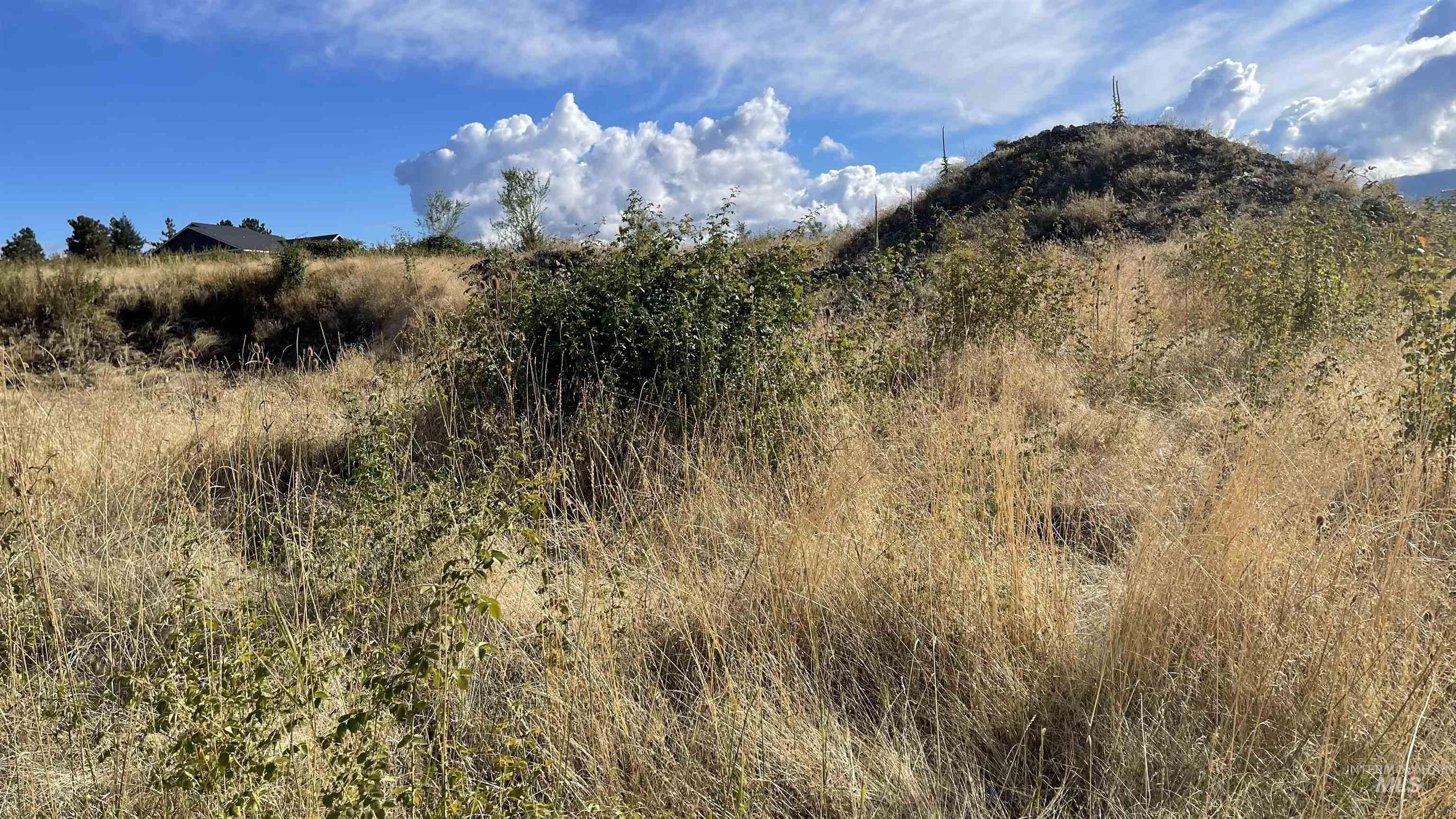 TBD Golden Hills Dr, Grangeville, Idaho 83530, Land For Sale, Price $129,000,MLS 98978340