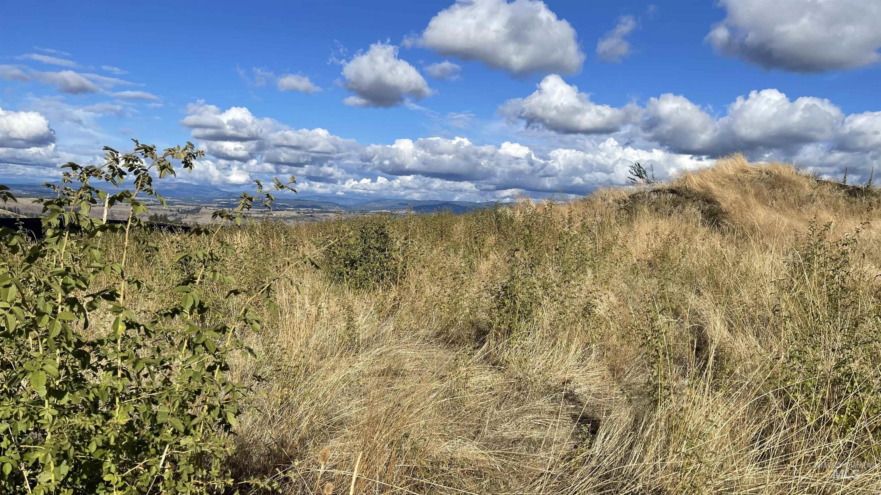 TBD Golden Hills Dr, Grangeville, Idaho 83530, Land For Sale, Price $129,000,MLS 98978340