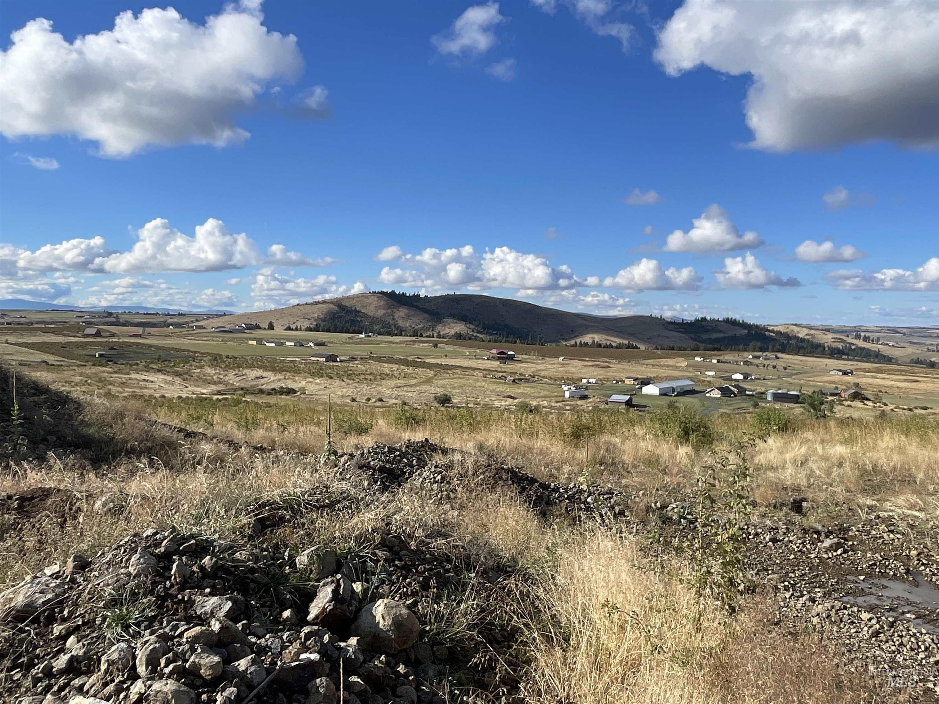TBD Golden Hills Dr, Grangeville, Idaho 83530, Land For Sale, Price $129,000,MLS 98978340