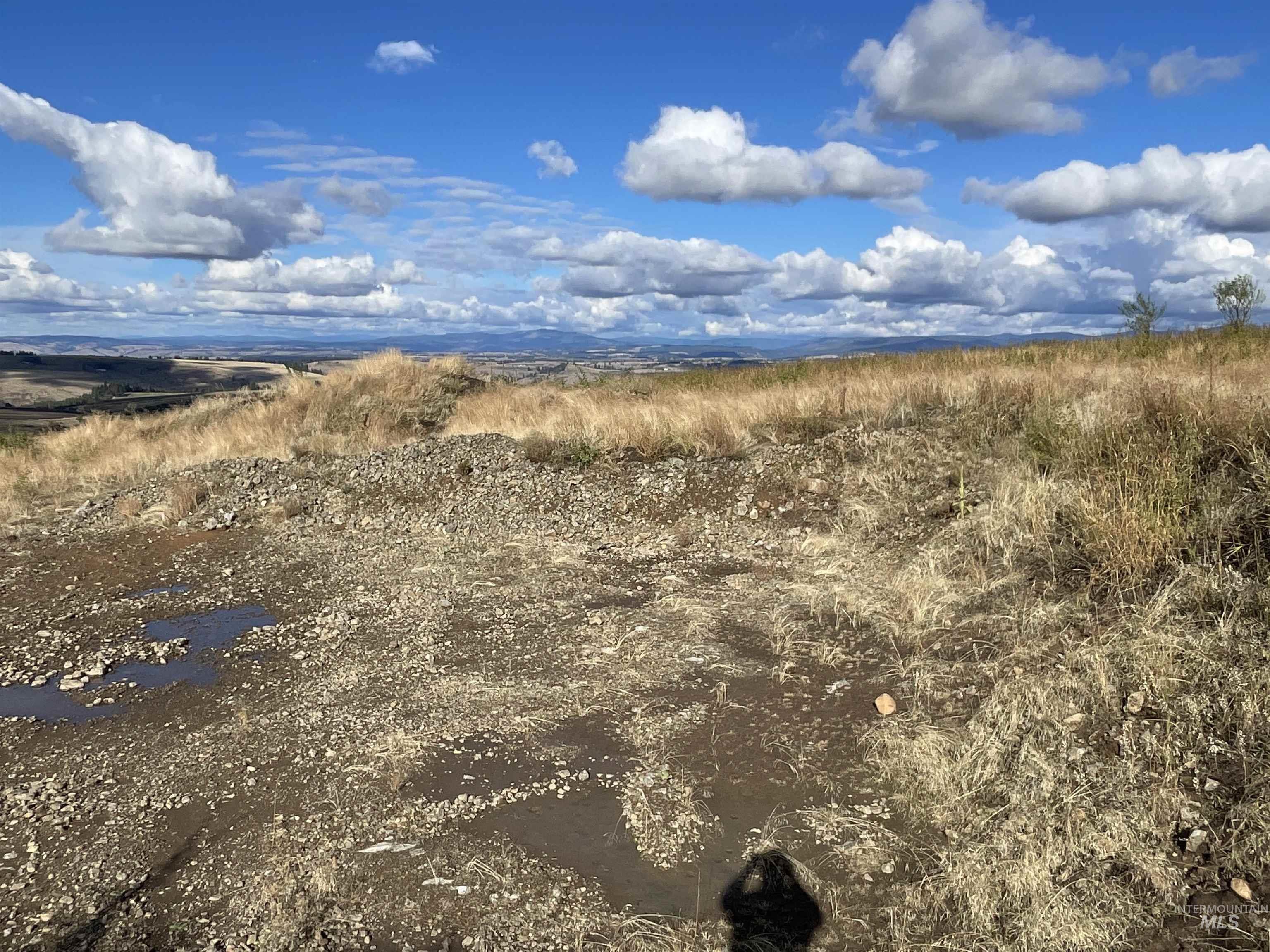 TBD Golden Hills Dr, Grangeville, Idaho 83530, Land For Sale, Price $129,000,MLS 98978340