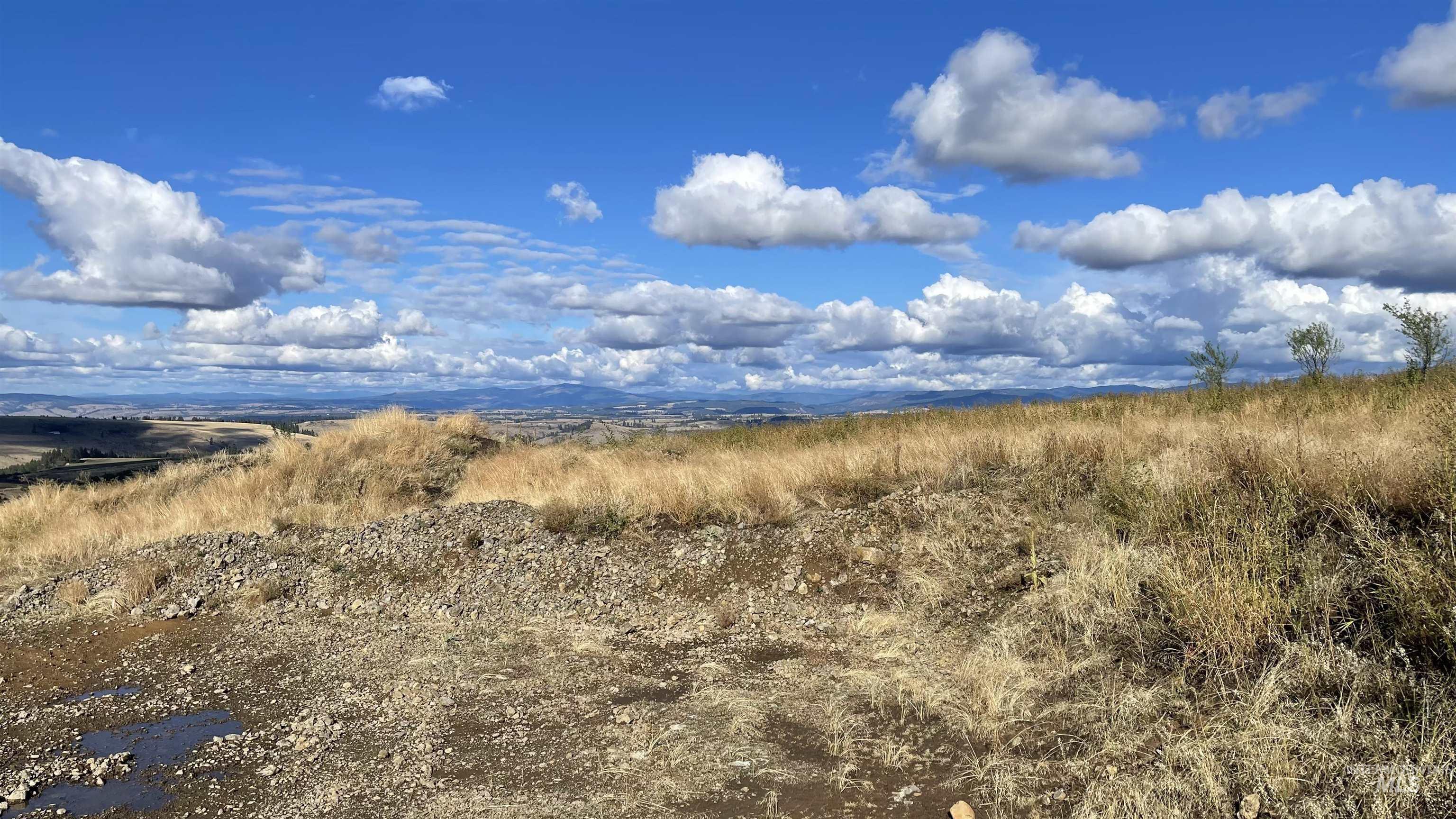 TBD Golden Hills Dr, Grangeville, Idaho 83530, Land For Sale, Price $129,000,MLS 98978340