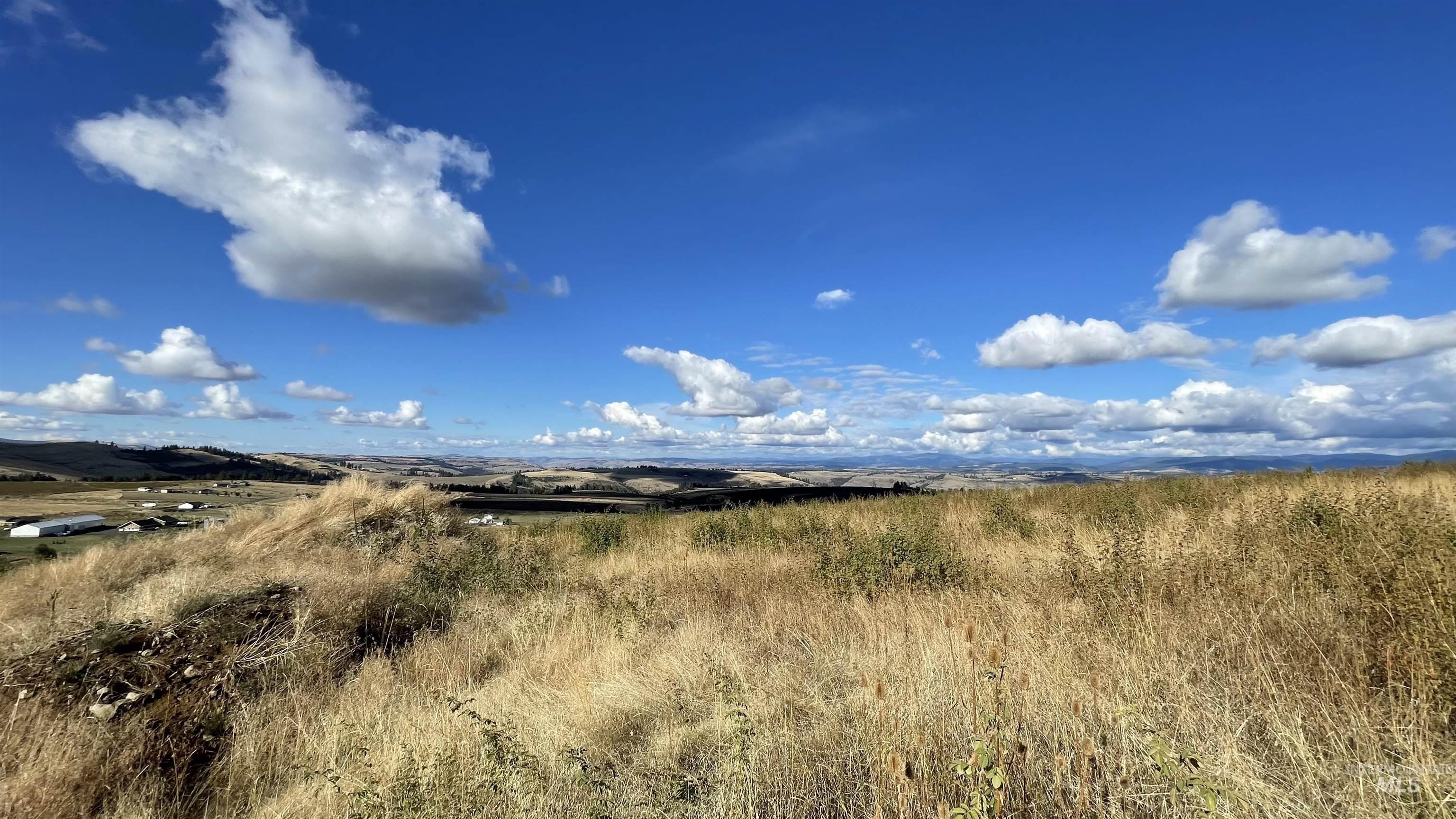 TBD Golden Hills Dr, Grangeville, Idaho 83530, Land For Sale, Price $129,000,MLS 98978340