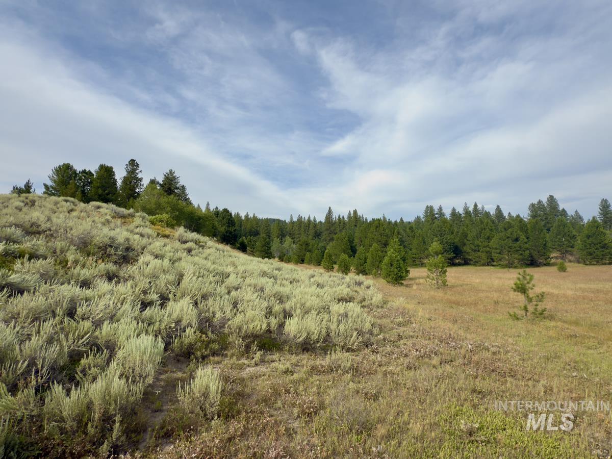 2 Joshua Drive, Cascade, Idaho 83611, Land For Sale, Price $225,000,MLS 98978354