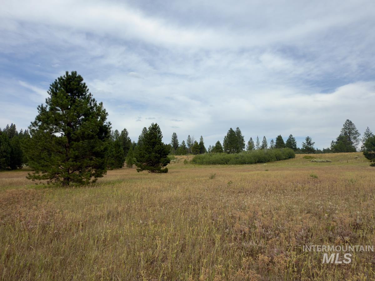 2 Joshua Drive, Cascade, Idaho 83611, Land For Sale, Price $225,000,MLS 98978354
