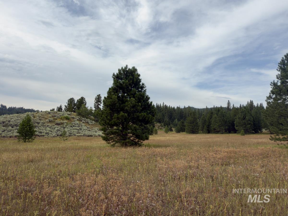 2 Joshua Drive, Cascade, Idaho 83611, Land For Sale, Price $225,000,MLS 98978354