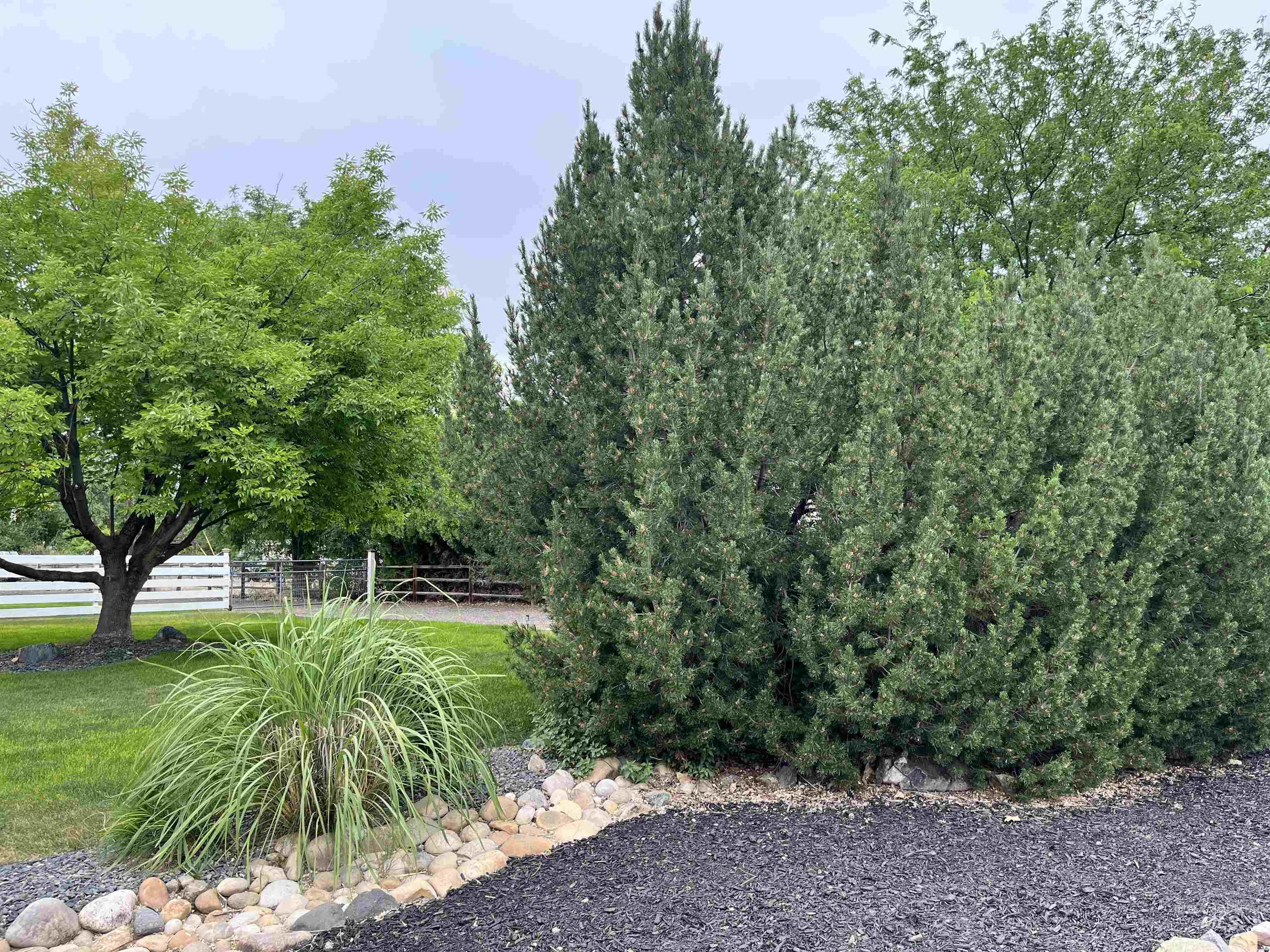 710 Keogh Ln, Caldwell, Idaho 83607, 4 Bedrooms, 3 Bathrooms, Residential For Sale, Price $979,000,MLS 98978355