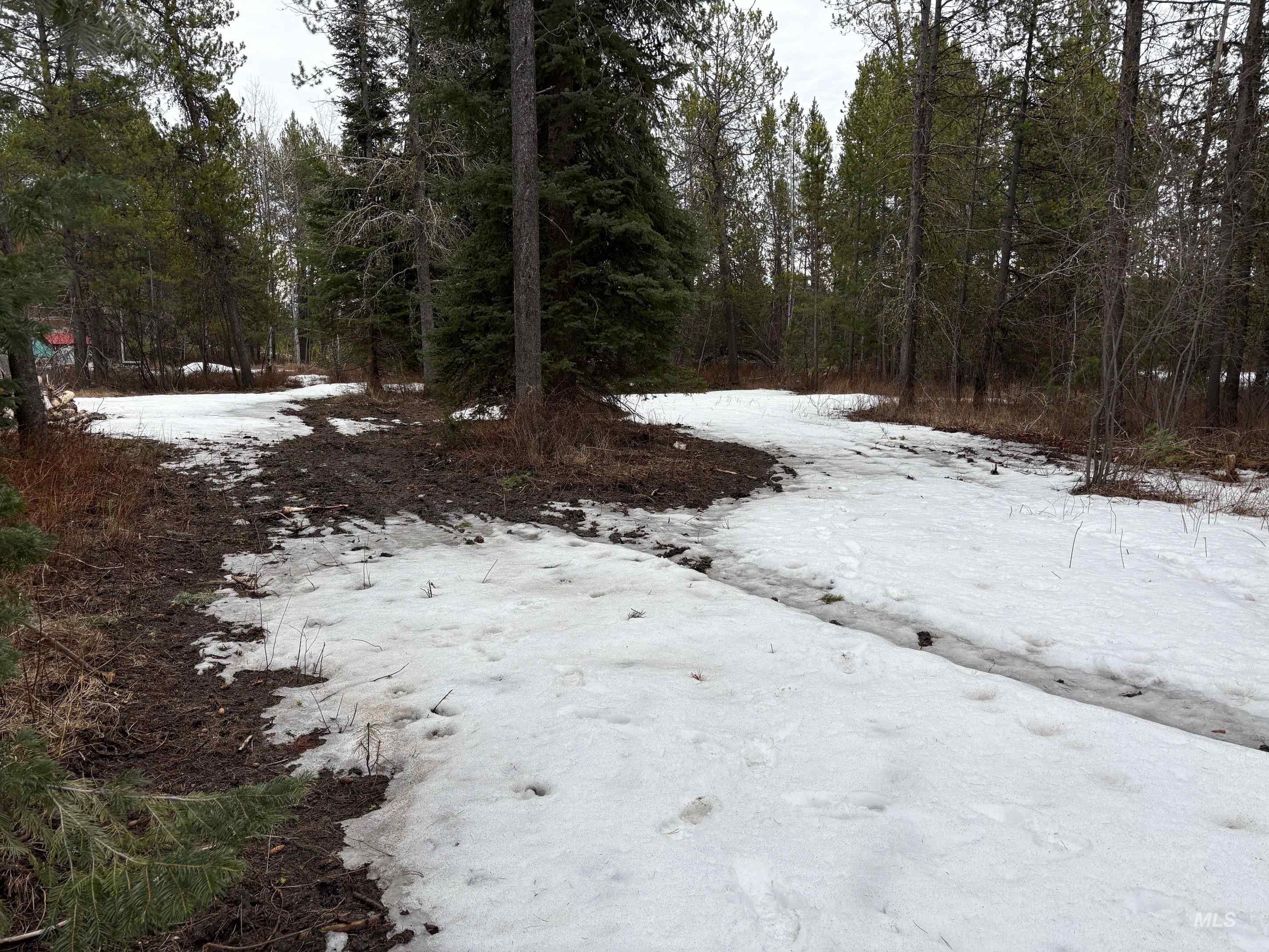 181 Angus Lane, Donnelly, Idaho 83615, Land For Sale, Price $160,000,MLS 98978366