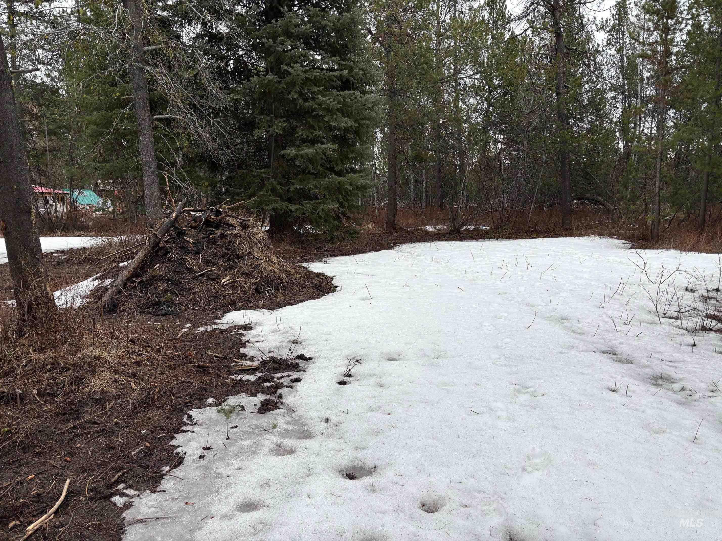 181 Angus Lane, Donnelly, Idaho 83615, Land For Sale, Price $160,000,MLS 98978366