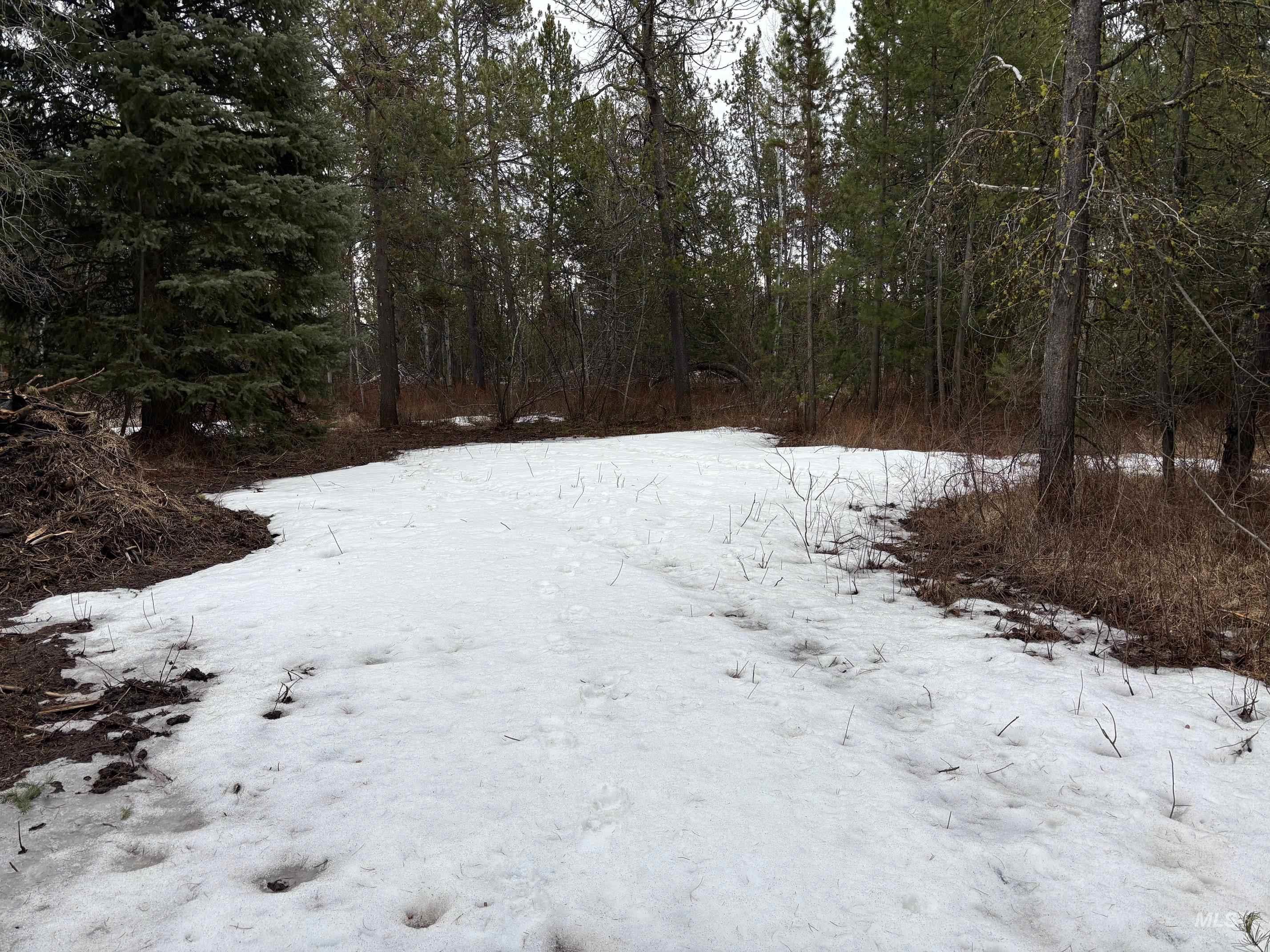 181 Angus Lane, Donnelly, Idaho 83615, Land For Sale, Price $160,000,MLS 98978366