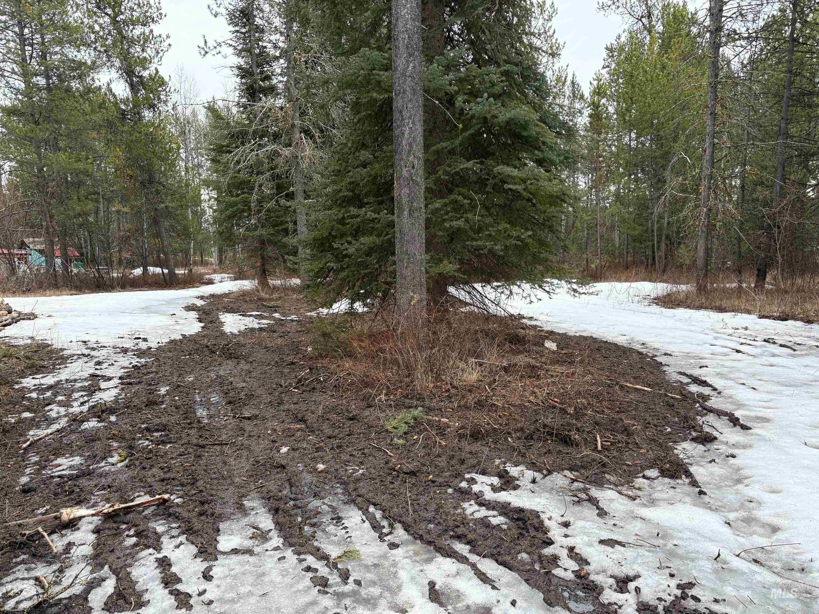 181 Angus Lane, Donnelly, Idaho 83615, Land For Sale, Price $160,000,MLS 98978366