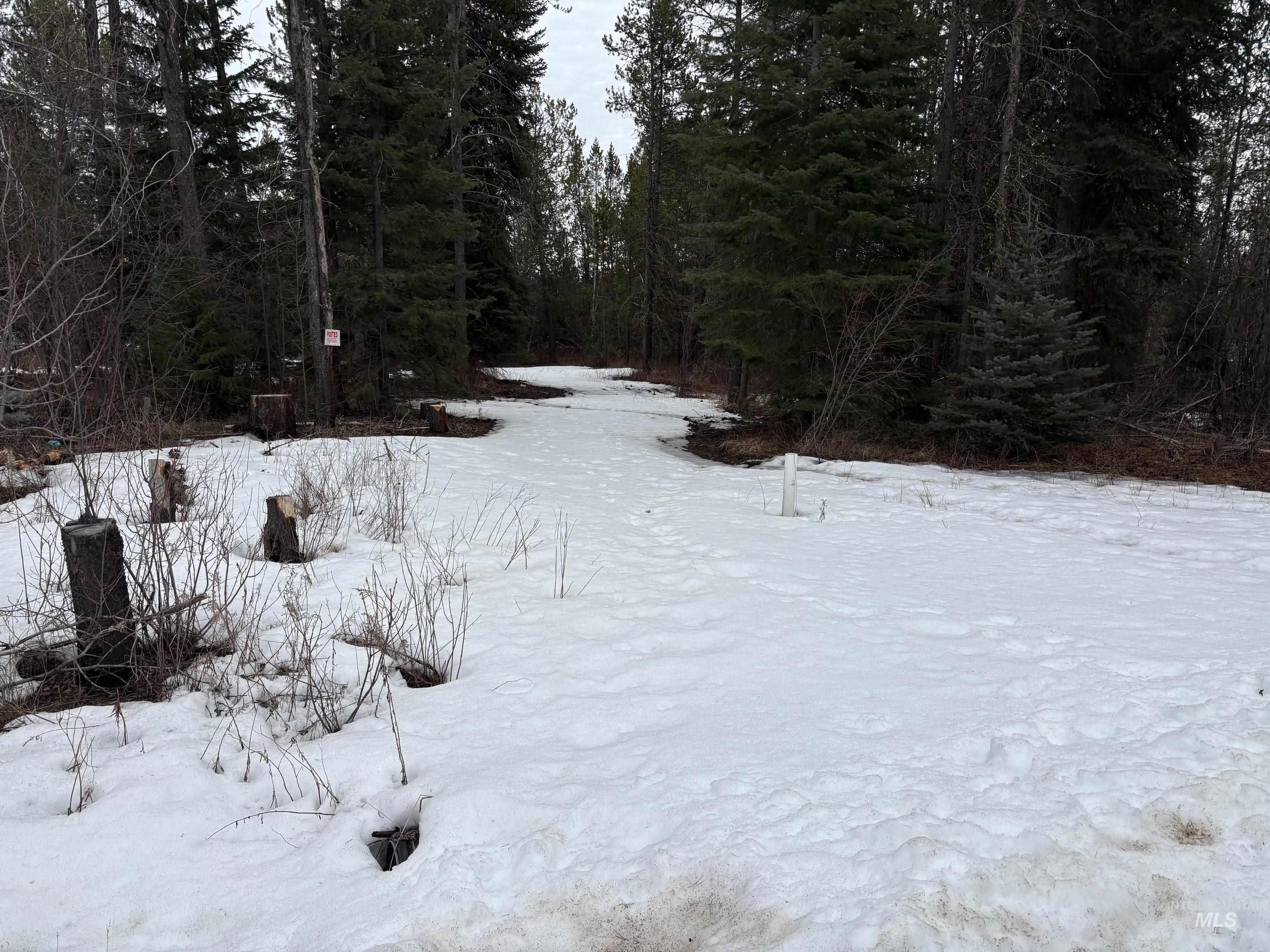 181 Angus Lane, Donnelly, Idaho 83615, Land For Sale, Price $160,000,MLS 98978366