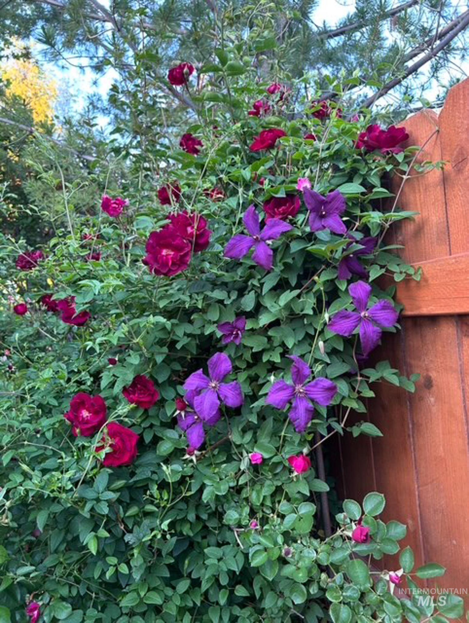 2676 S Velvet Falls Way, Meridian, Idaho 83642, 5 Bedrooms, 3 Bathrooms, Residential For Sale, Price $759,900, 98978382