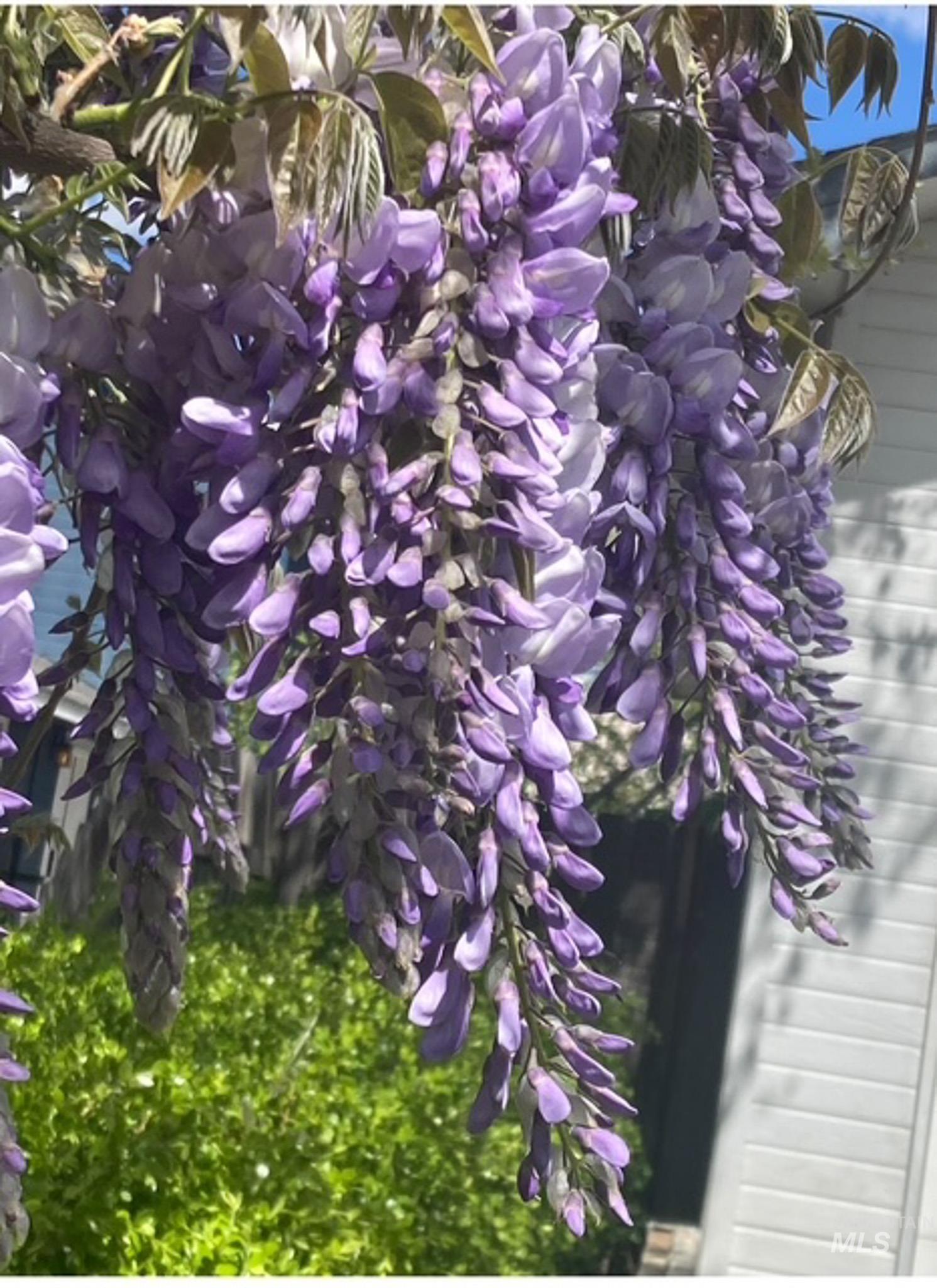 2676 S Velvet Falls Way, Meridian, Idaho 83642, 5 Bedrooms, 3 Bathrooms, Residential For Sale, Price $759,900, 98978382