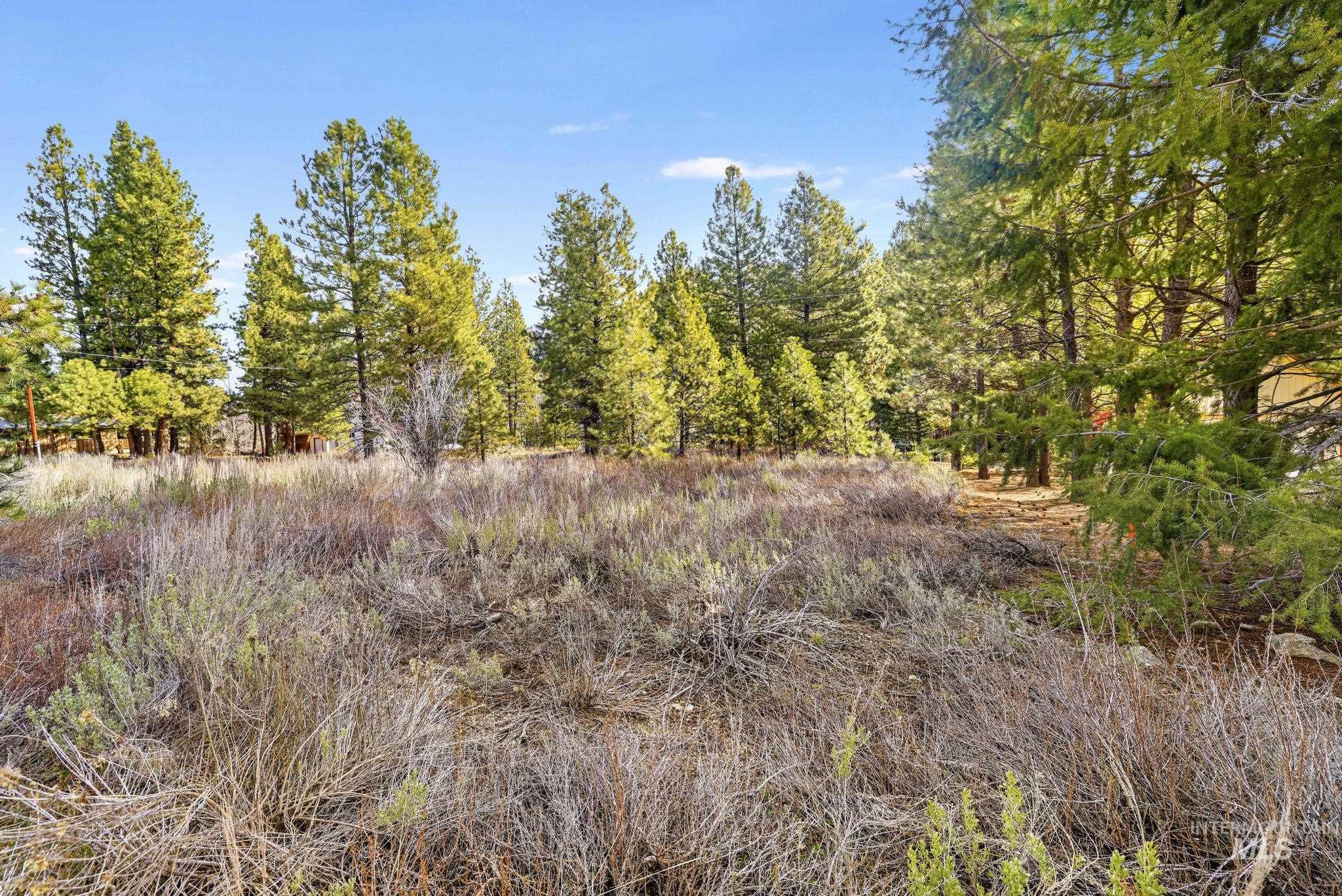 TBD E Riverview Cir, Pine, Idaho 83647, Land For Sale, Price $275,000, 98978387