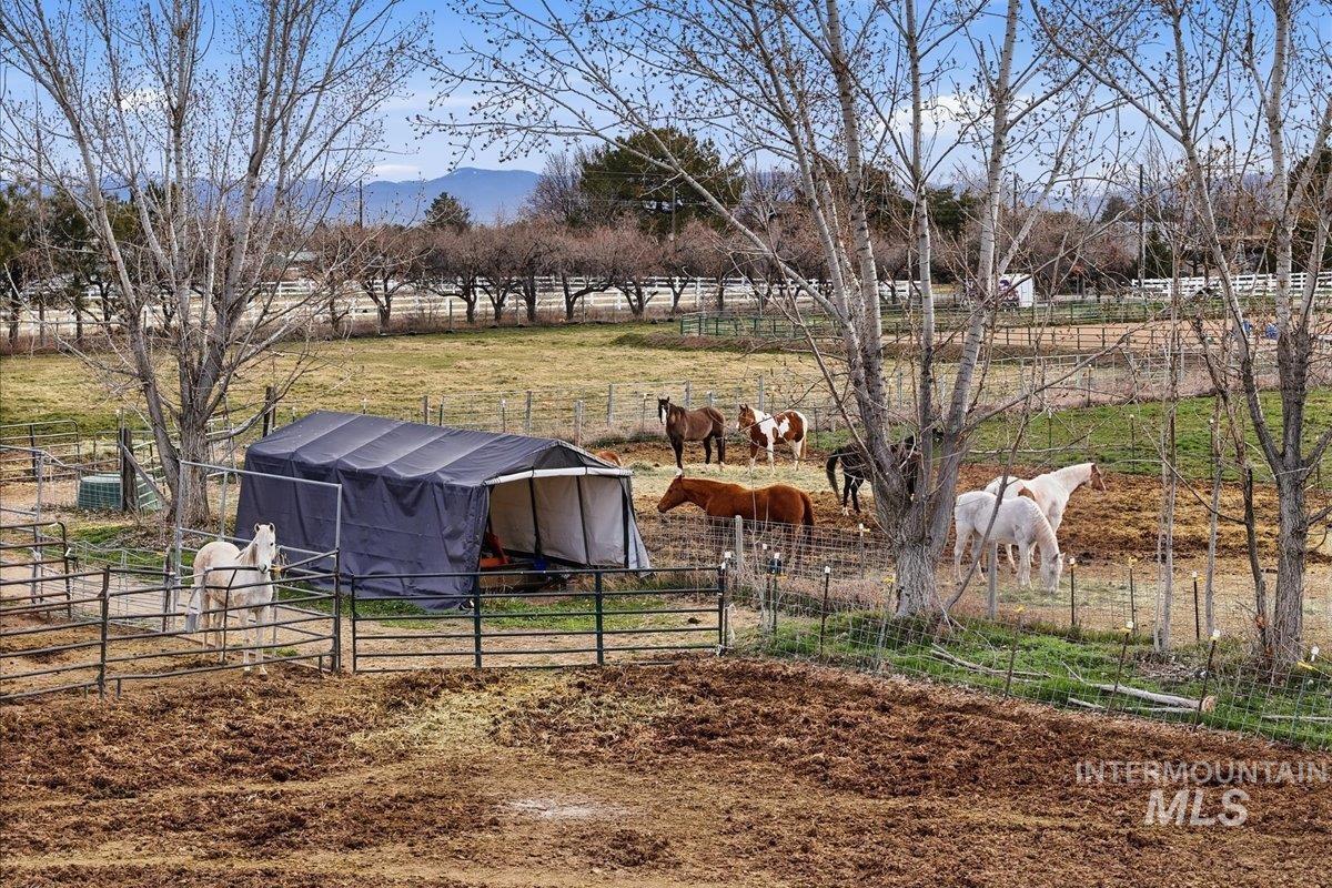 775 N Cow Horse Dr., Kuna, Idaho 83634, 3 Bedrooms, 2.5 Bathrooms, Residential For Sale, Price $899,900,MLS 98978397