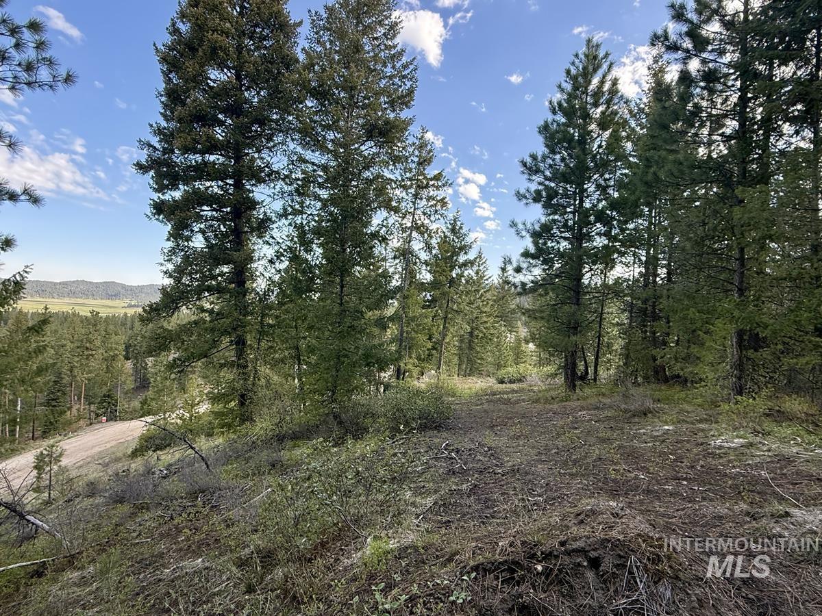 38 San Ignacio Way, Cascade, Idaho 83611, Land For Sale, Price $139,000,MLS 98978423