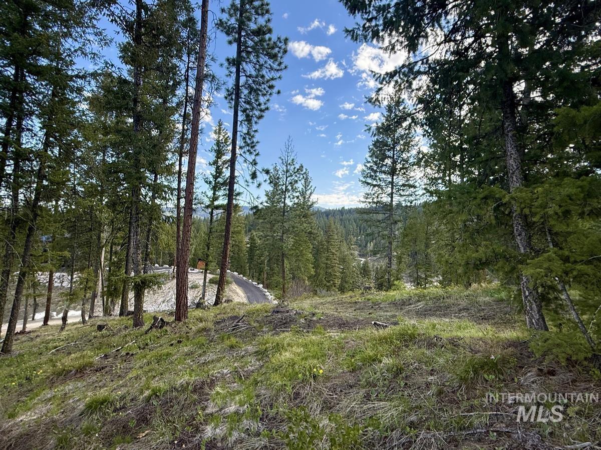 38 San Ignacio Way, Cascade, Idaho 83611, Land For Sale, Price $139,000,MLS 98978423