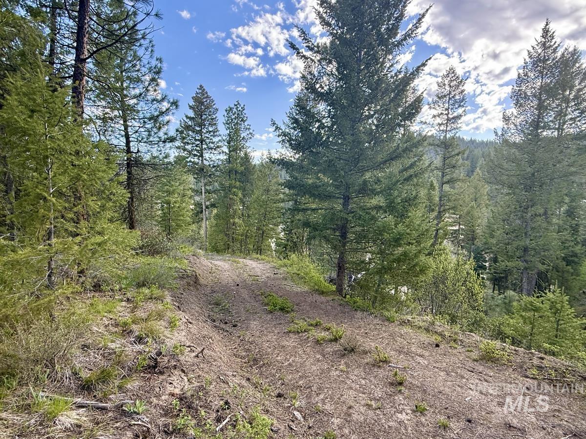 38 San Ignacio Way, Cascade, Idaho 83611, Land For Sale, Price $139,000,MLS 98978423