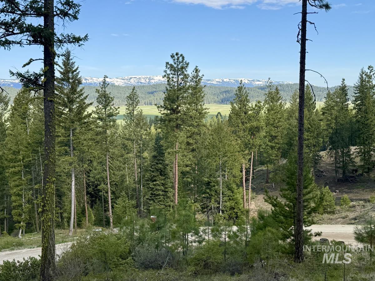 38 San Ignacio Way, Cascade, Idaho 83611, Land For Sale, Price $139,000,MLS 98978423