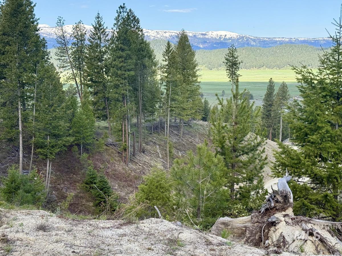 38 San Ignacio Way, Cascade, Idaho 83611, Land For Sale, Price $139,000,MLS 98978423