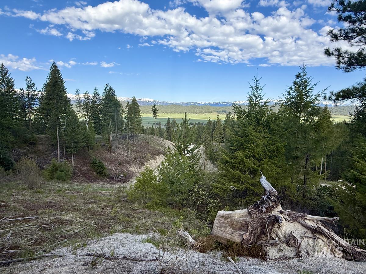 38 San Ignacio Way, Cascade, Idaho 83611, Land For Sale, Price $139,000,MLS 98978423