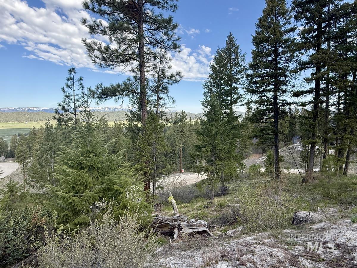 38 San Ignacio Way, Cascade, Idaho 83611, Land For Sale, Price $139,000,MLS 98978423