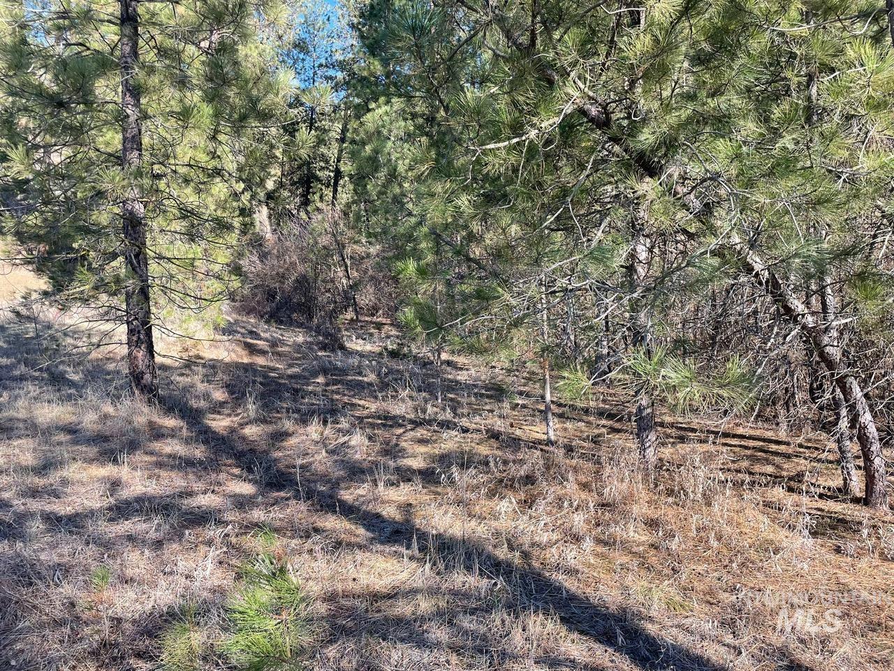TBD Meadow View Rd, Garden Valley, Idaho 83622, Land For Sale, Price $299,000, 98978430