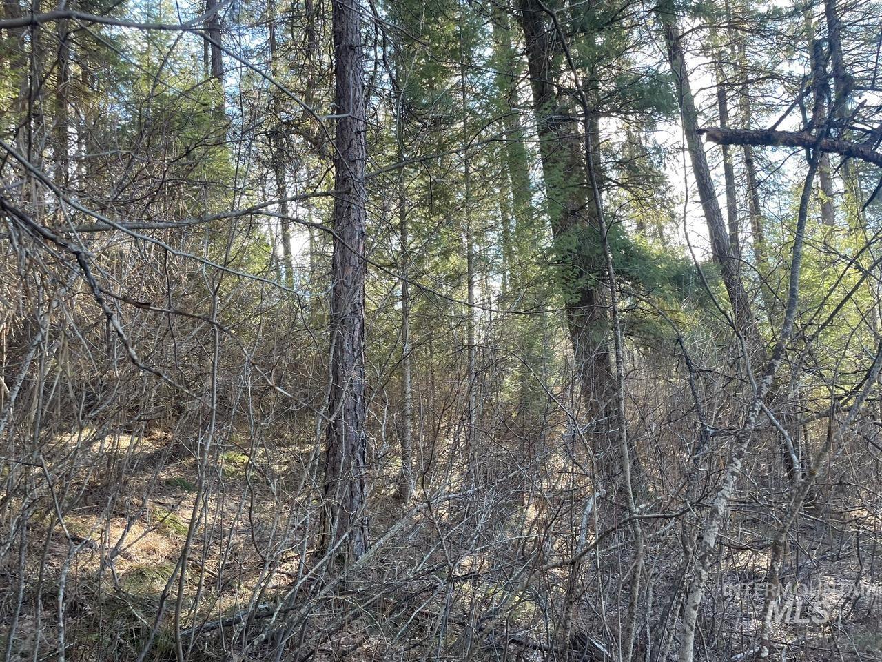 TBD Meadow View Rd, Garden Valley, Idaho 83622, Land For Sale, Price $299,000, 98978430