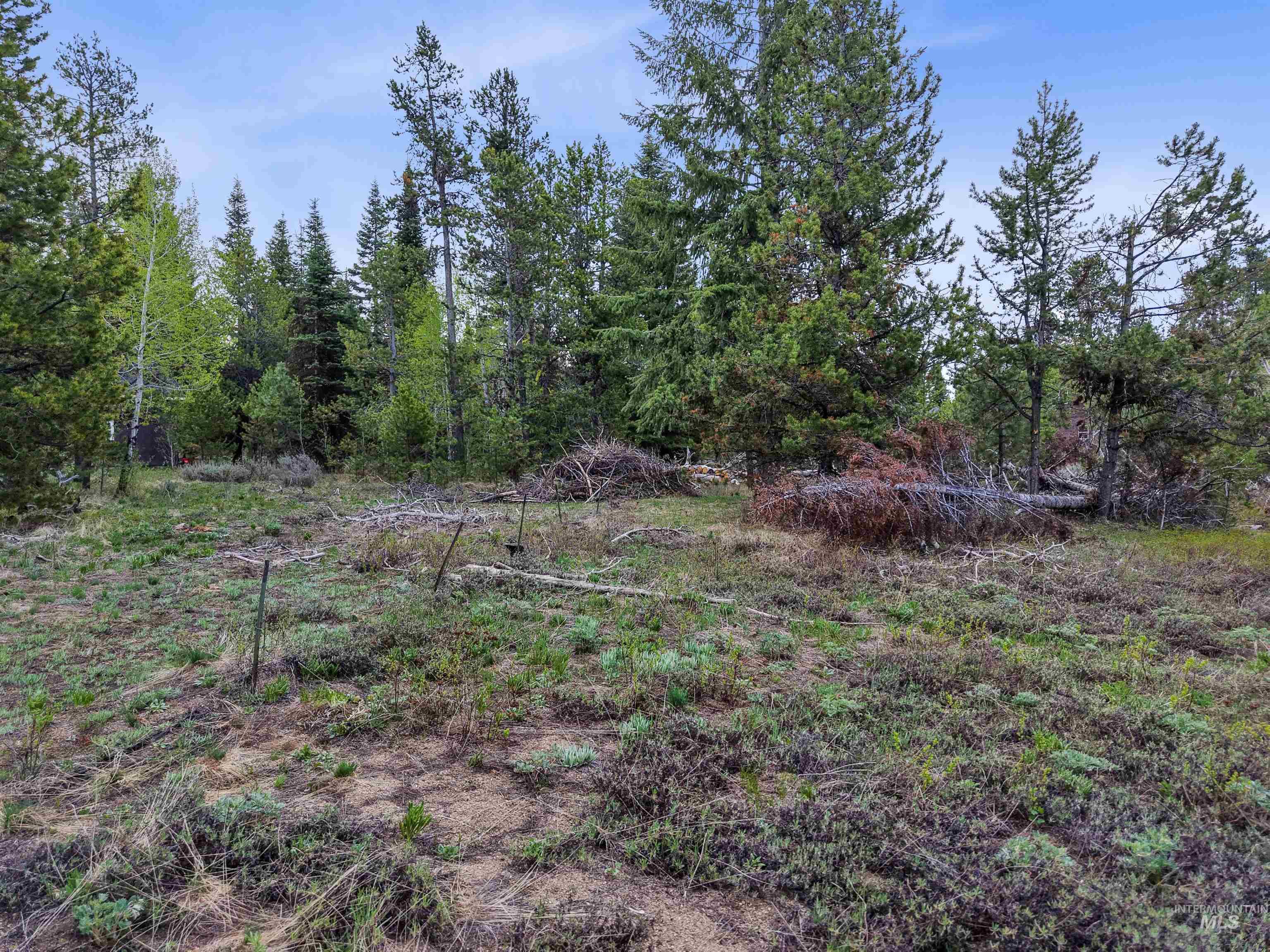 15 Herons Nest Court, Donnelly, Idaho 83615, Land For Sale, Price $210,000,MLS 98978436