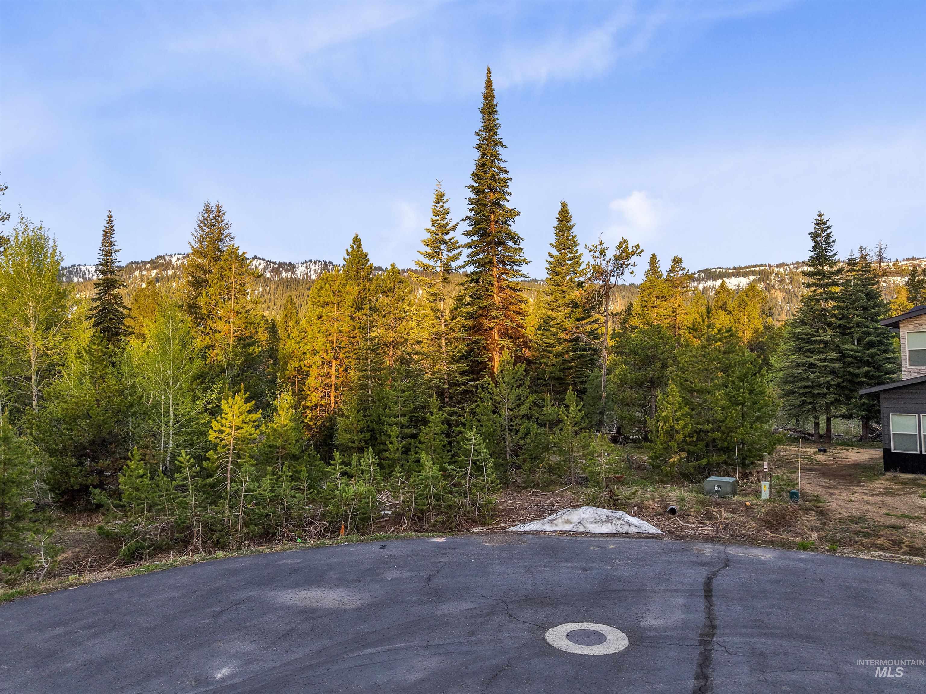 15 Herons Nest Court, Donnelly, Idaho 83615, Land For Sale, Price $195,000,MLS 98978436