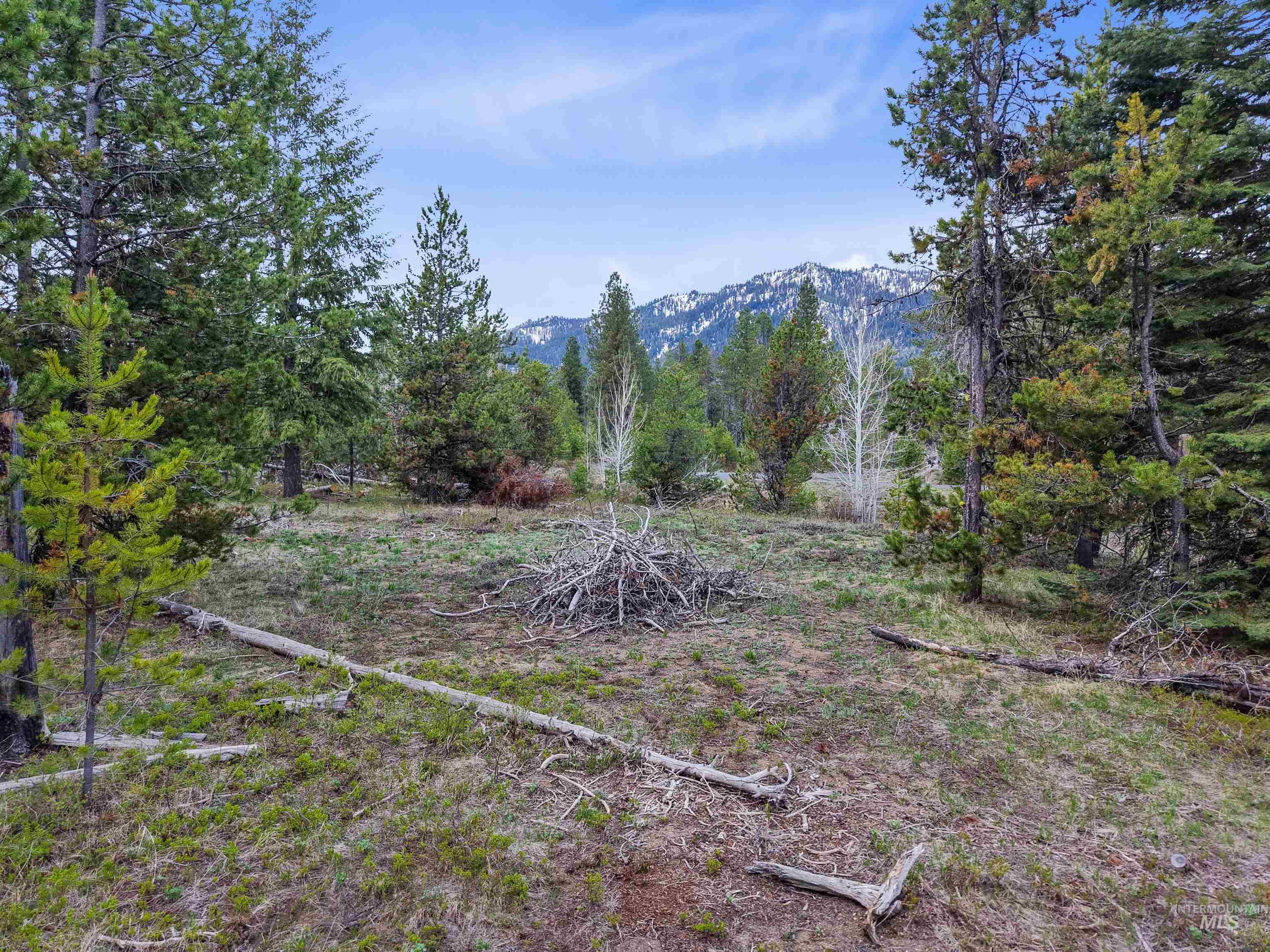 15 Herons Nest Court, Donnelly, Idaho 83615, Land For Sale, Price $195,000,MLS 98978436