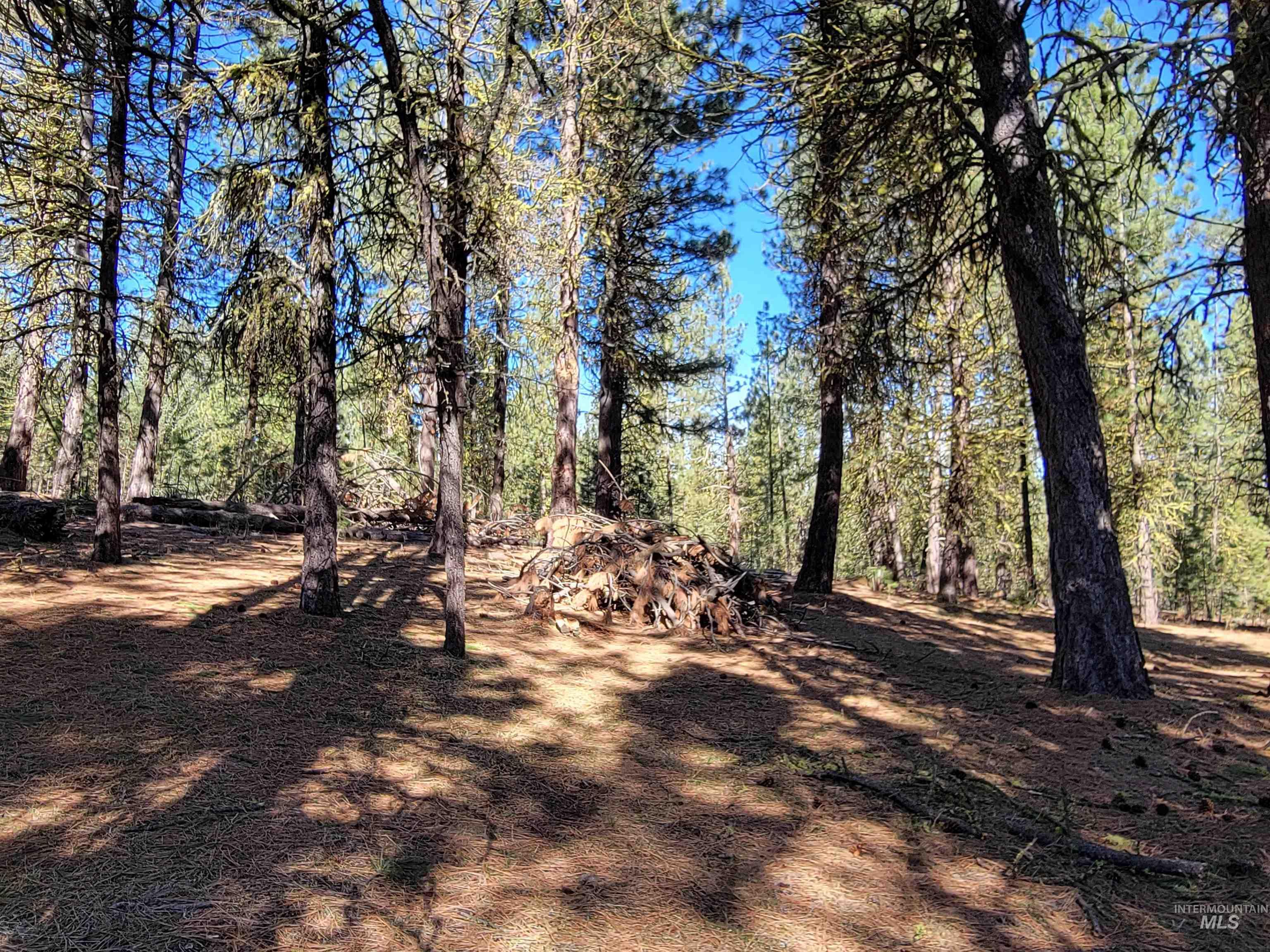 160 Pine Valley Drive, Cascade, Idaho 83611, 2 Bedrooms, 2 Bathrooms, Residential For Sale, Price $579,900,MLS 98978460