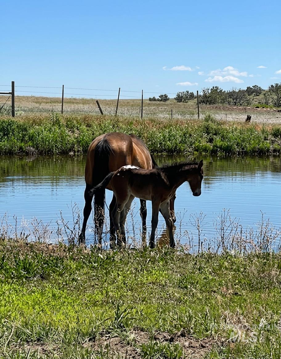 103 West 420 North, Shoshone, Idaho 83352, 3 Bedrooms, 2 Bathrooms, Residential For Sale, Price $625,000,MLS 98978497